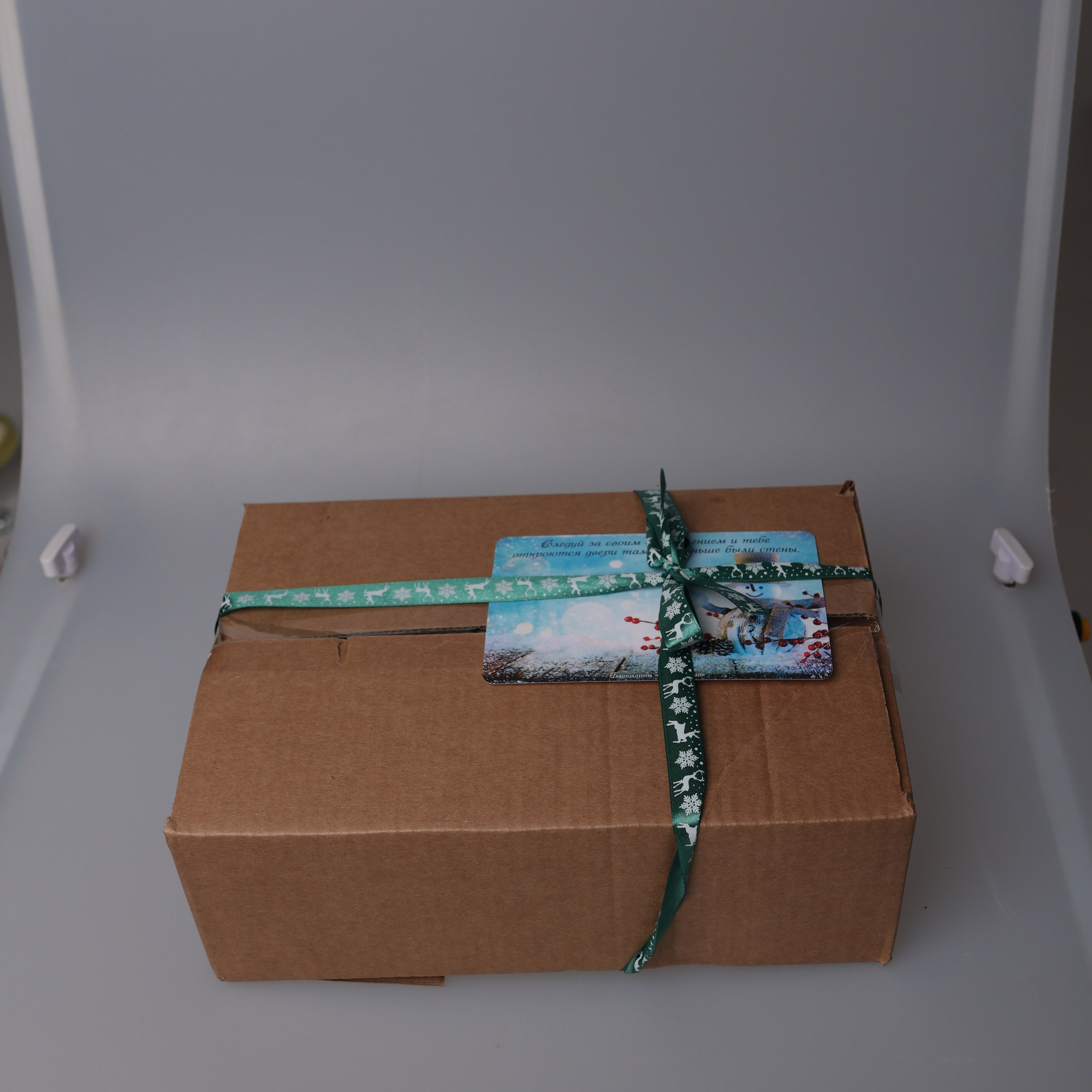 Отзывы. Фотограф Александра Просекова