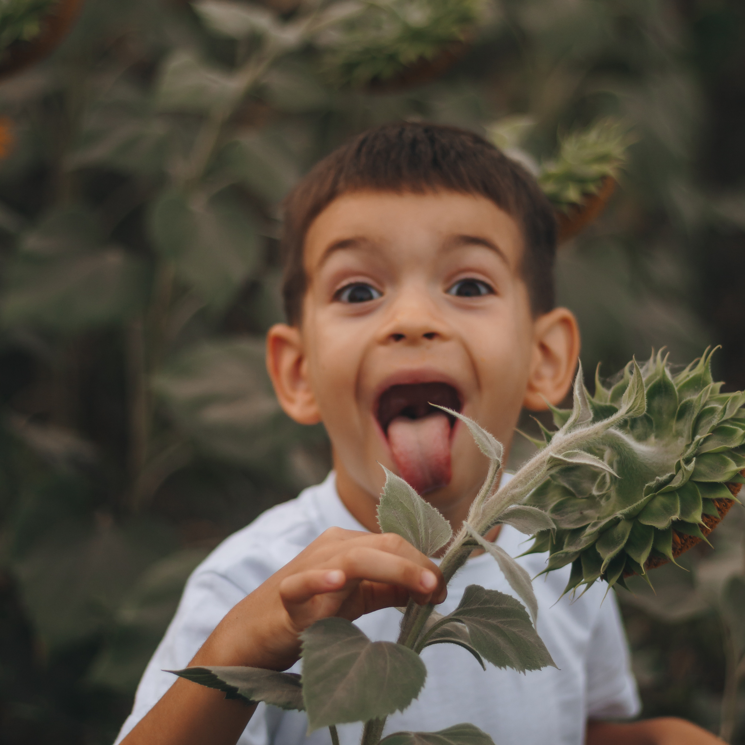 Елена, Сергей и Алёша