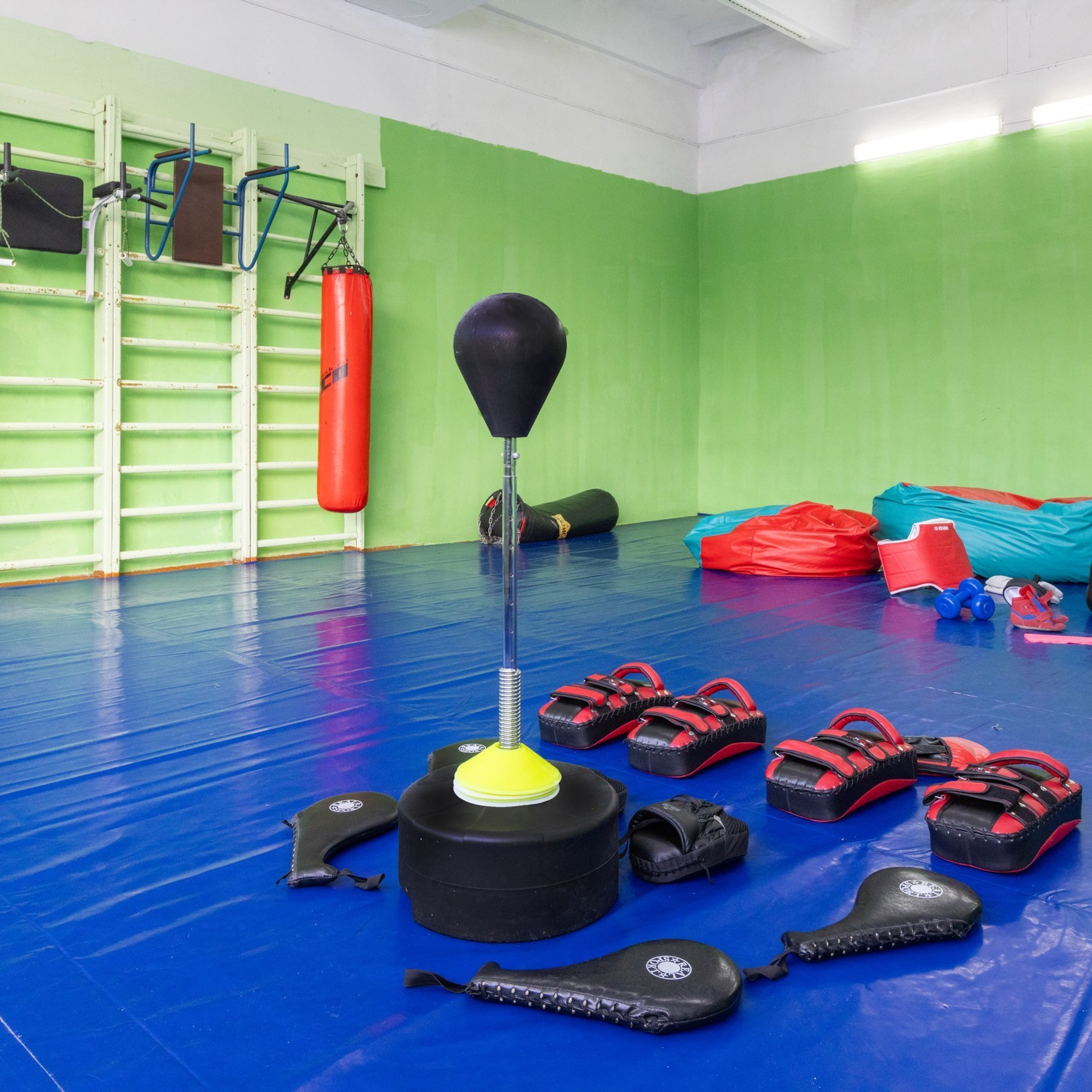 Лидер, спортивный зал филиал в&nbsp;цо.