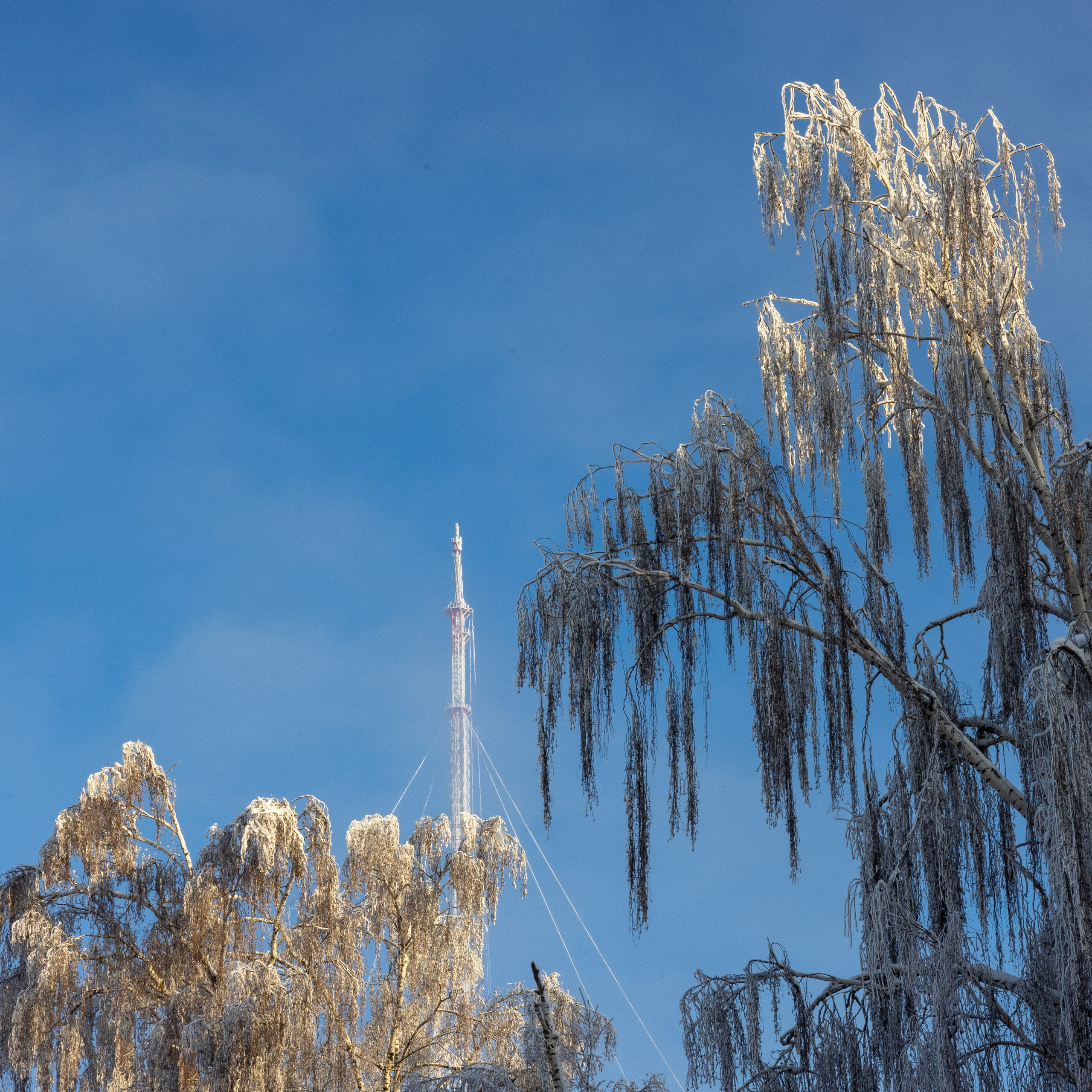 Телецентр. Башни «ОРТПЦ» в январкую стужу.