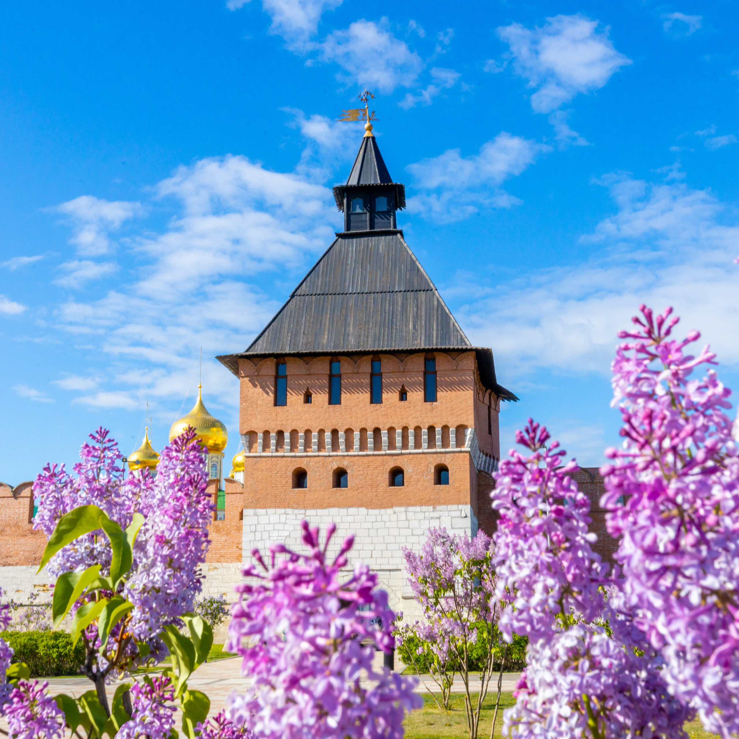 Весеннее цветение в&nbsp;Туле