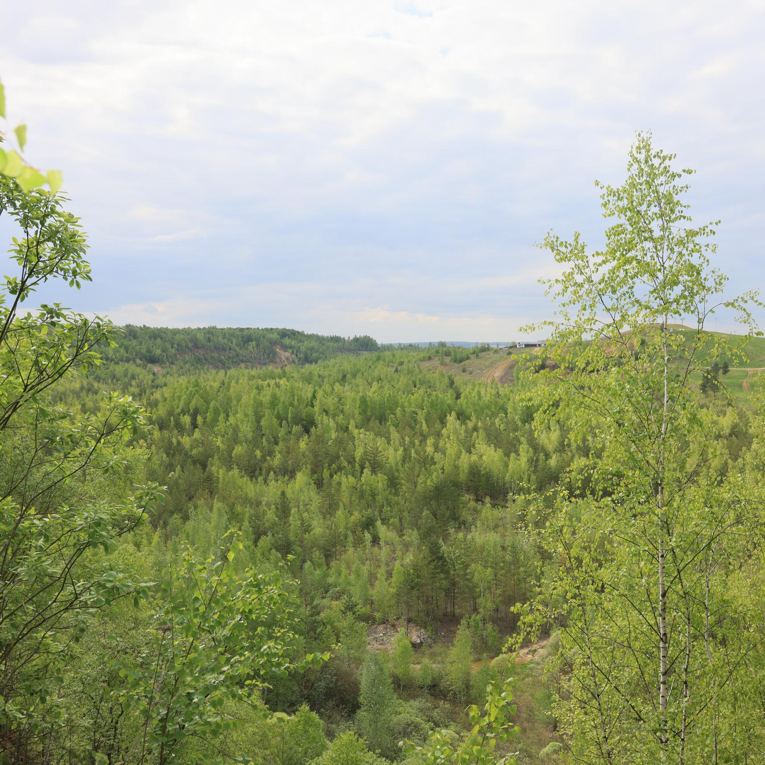 Отзывы. Фотограф в Туле Крупский АнДРей. Фотостудия «КАДР71» в Туле
