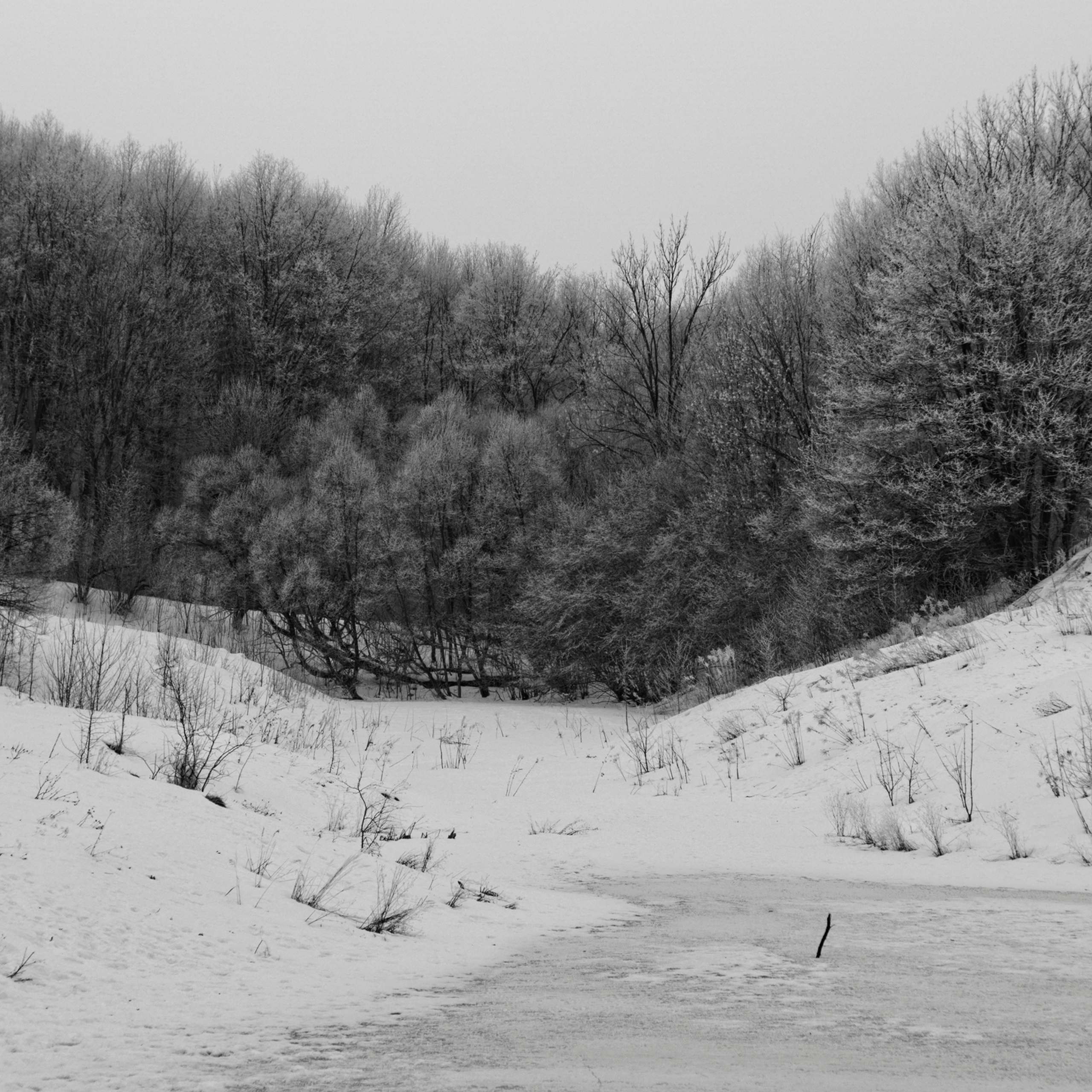 Зима в поселке Басово-Прудный и деревне Старое-Басово г. Тула