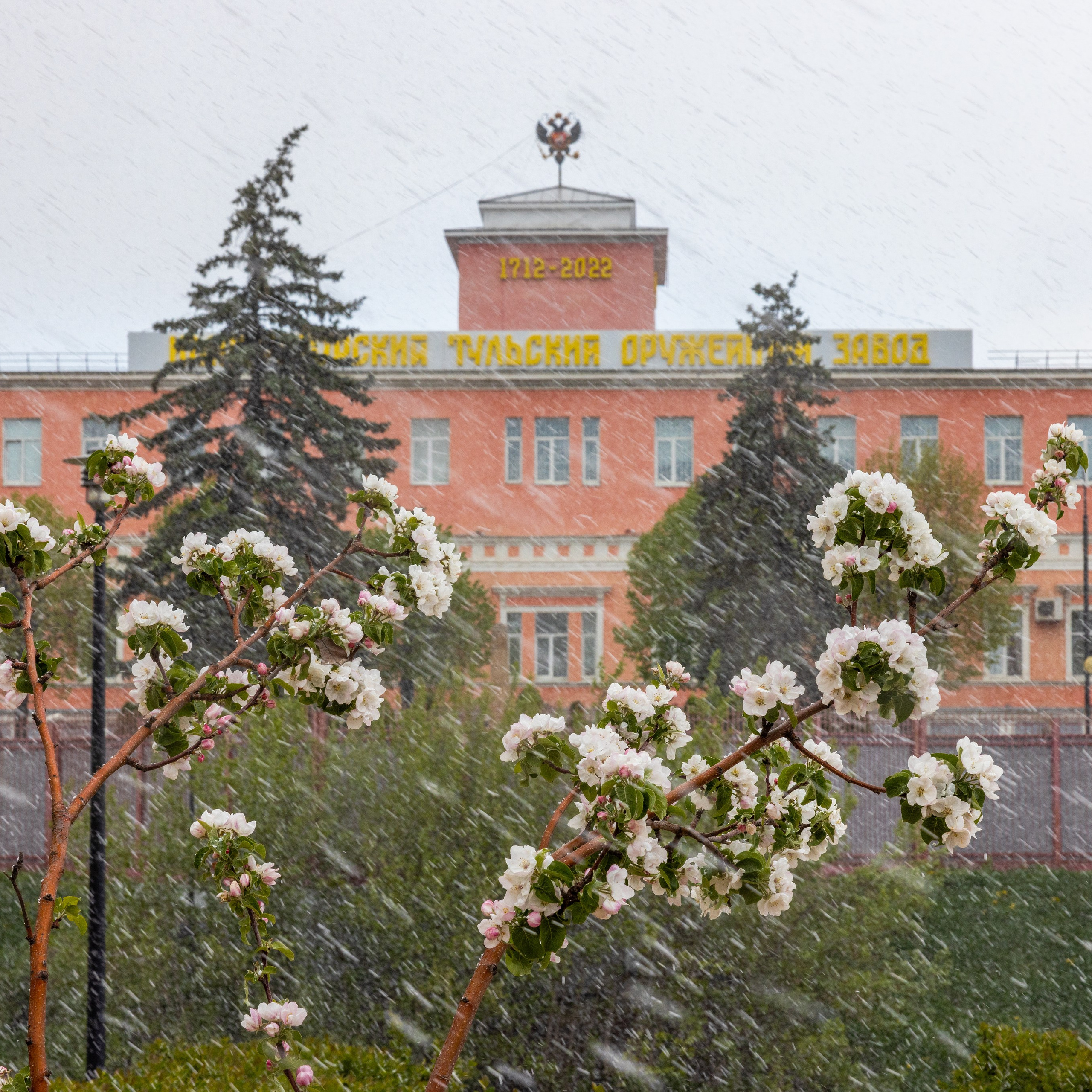 Весеннее цветение в Туле