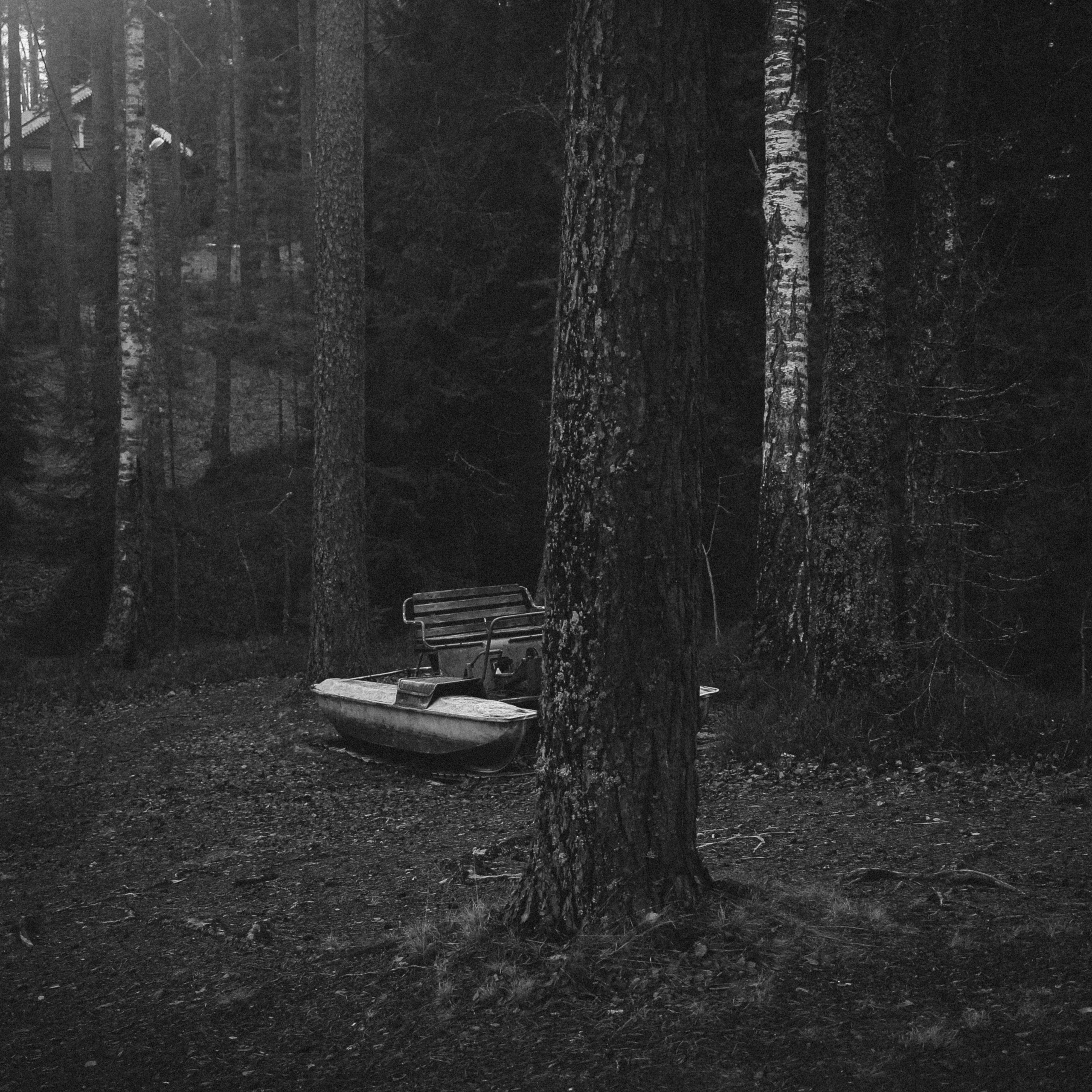 Лес и&nbsp;абстрактность