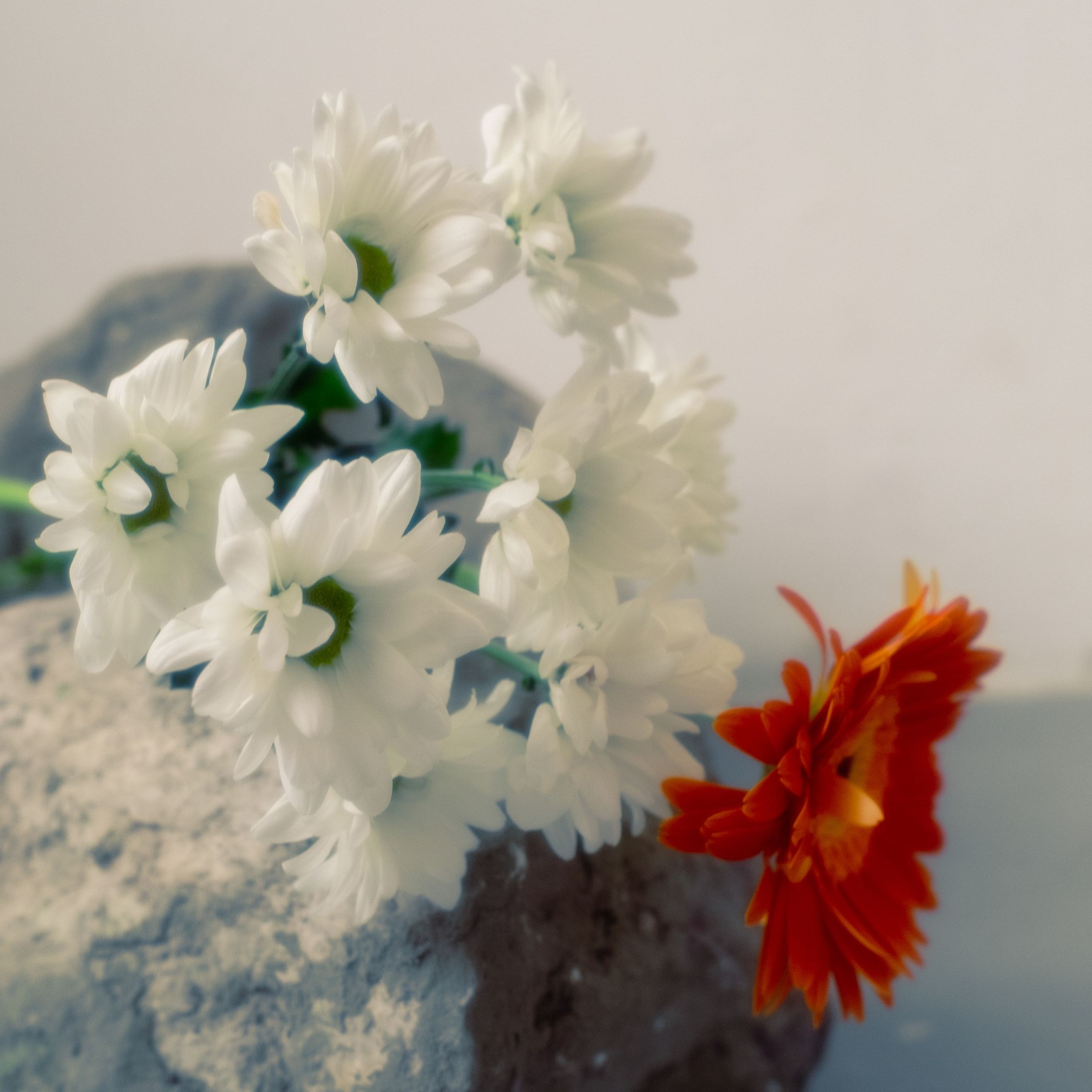 Питер Разное