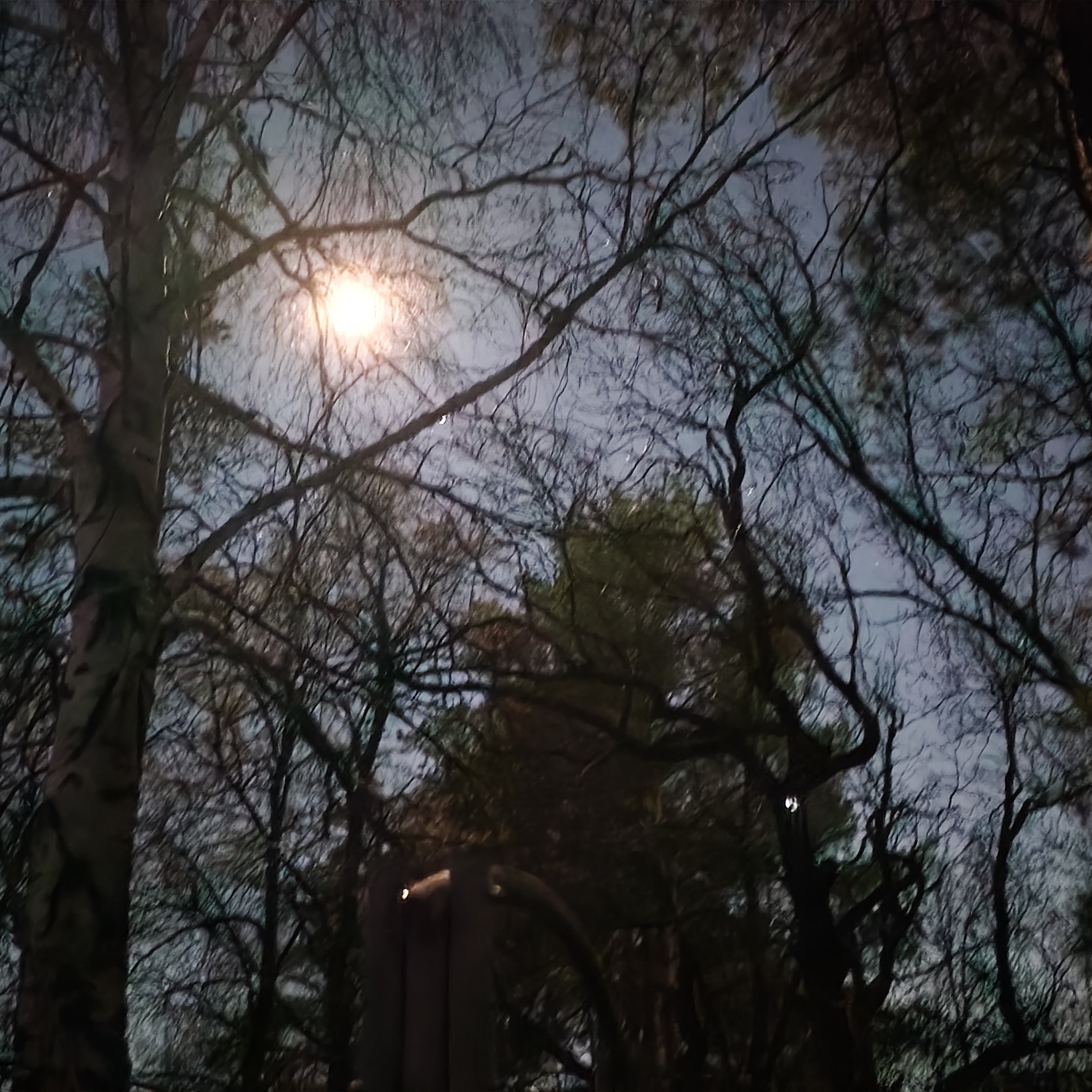 Отзывы. Интерьерный фотограф москва