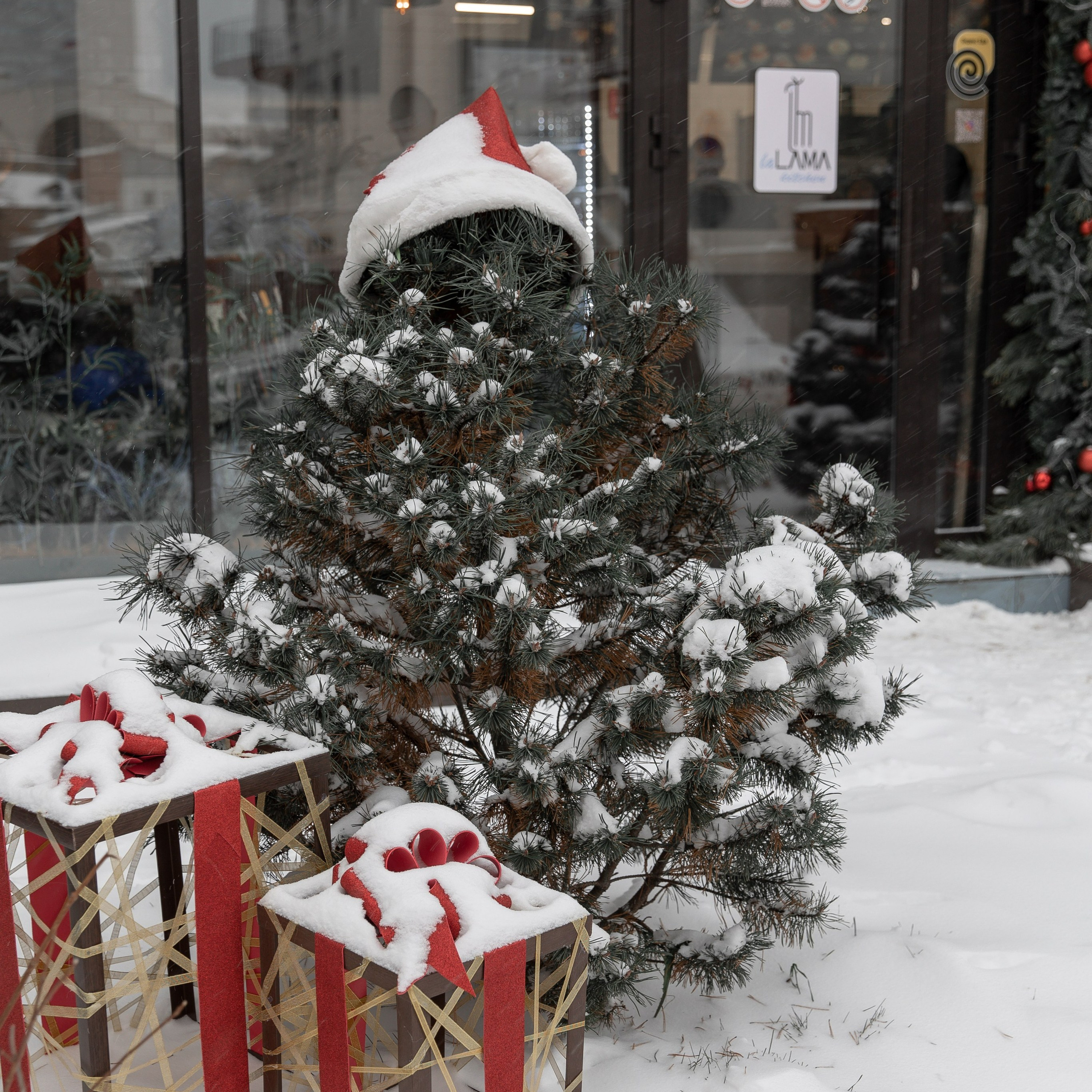 Отзывы. Свадебный фотограф Казань| Фотограф Казань Зевакина Анастасия
