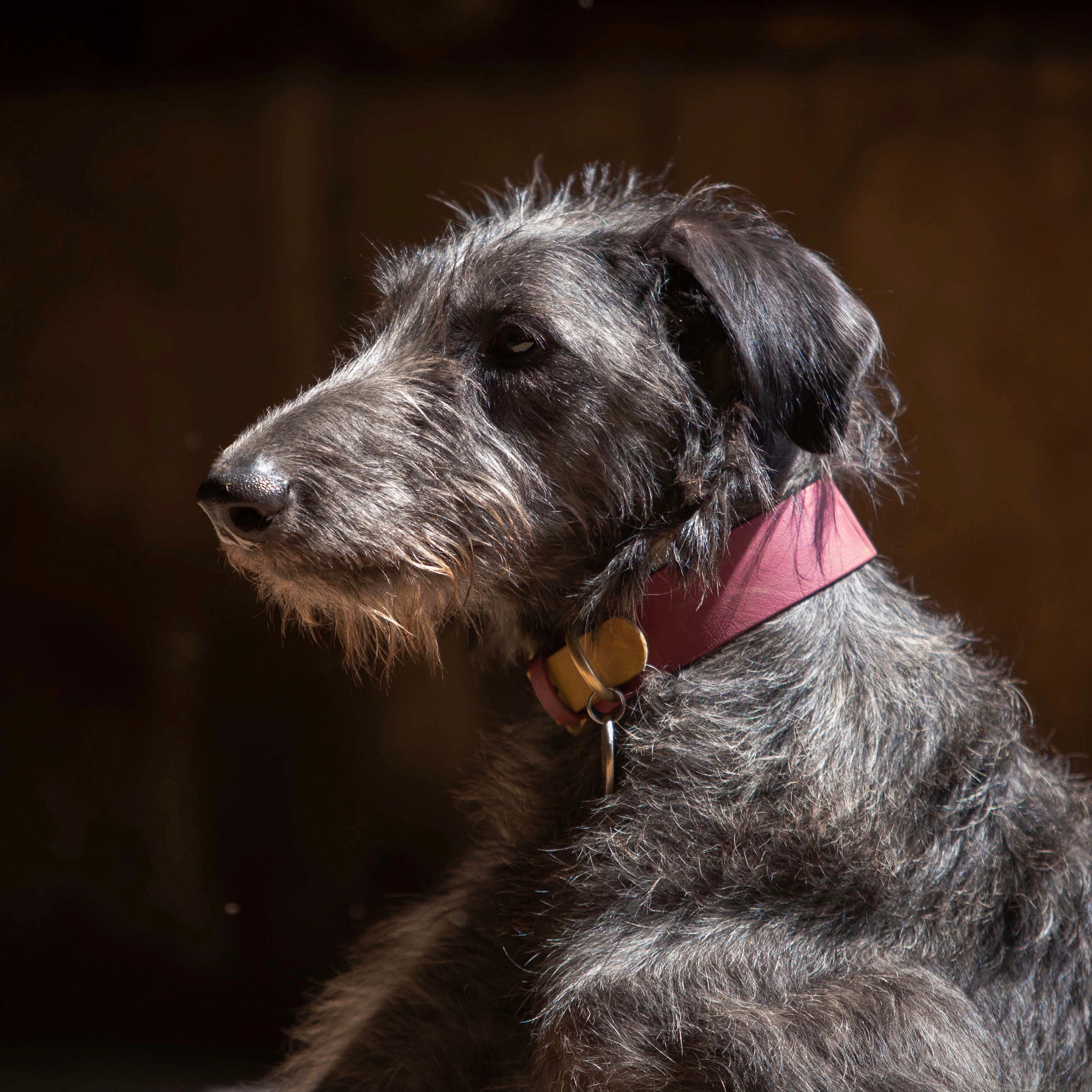 Silva Isa Sence of Beauty