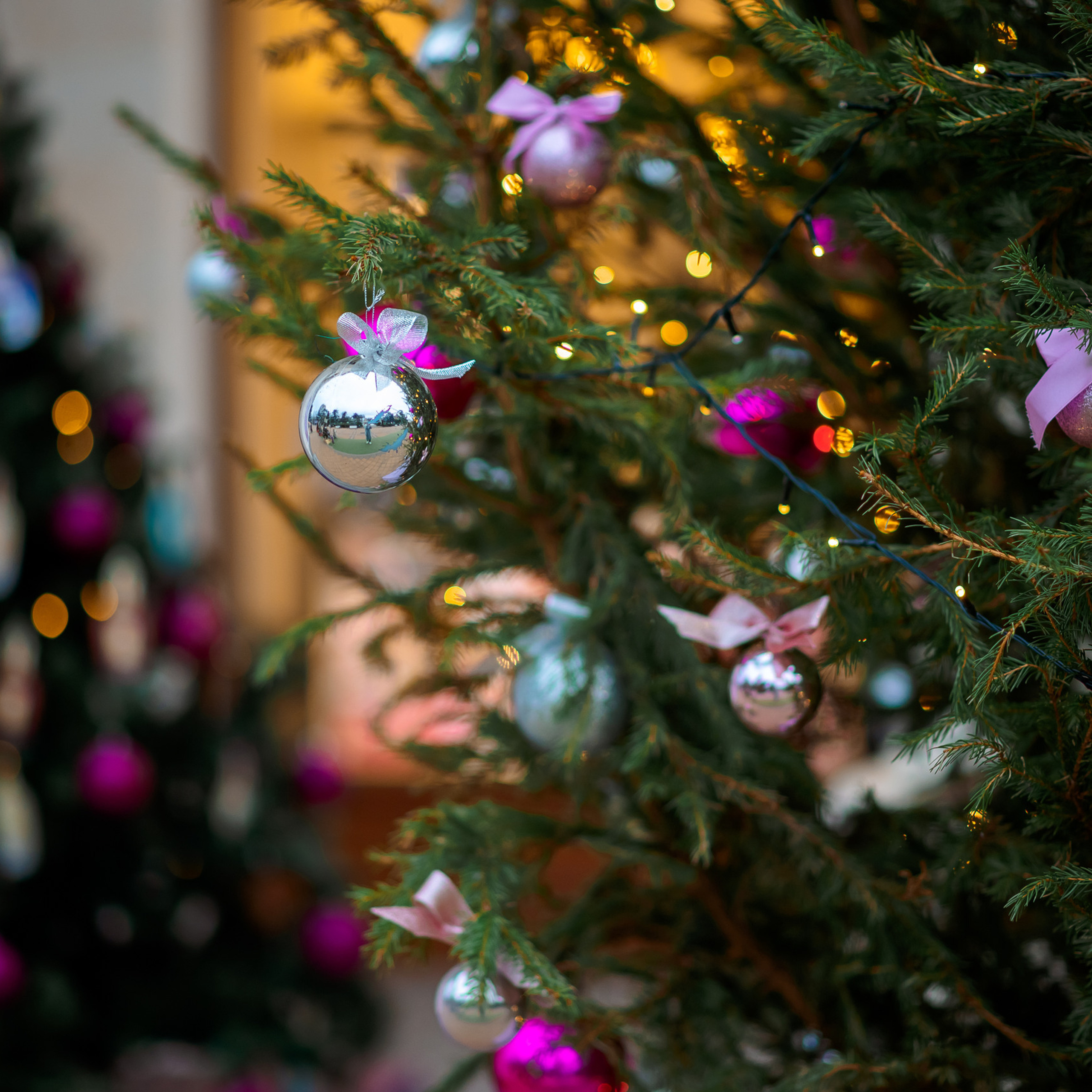Отзывы. Семейный и женский фотограф Лоо Краснодар Сочи Энем Татьяна Трибурт