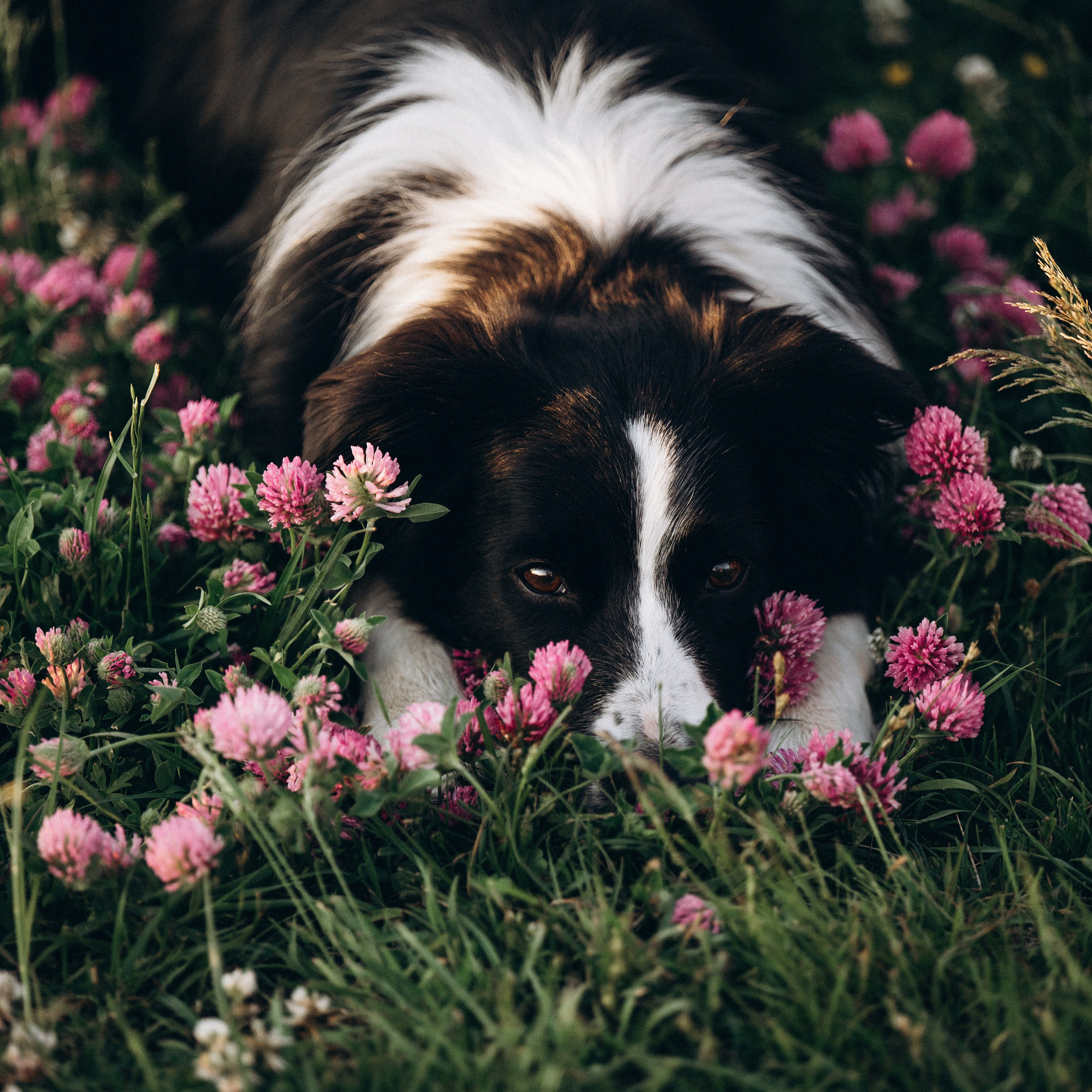 Регина и Эстер