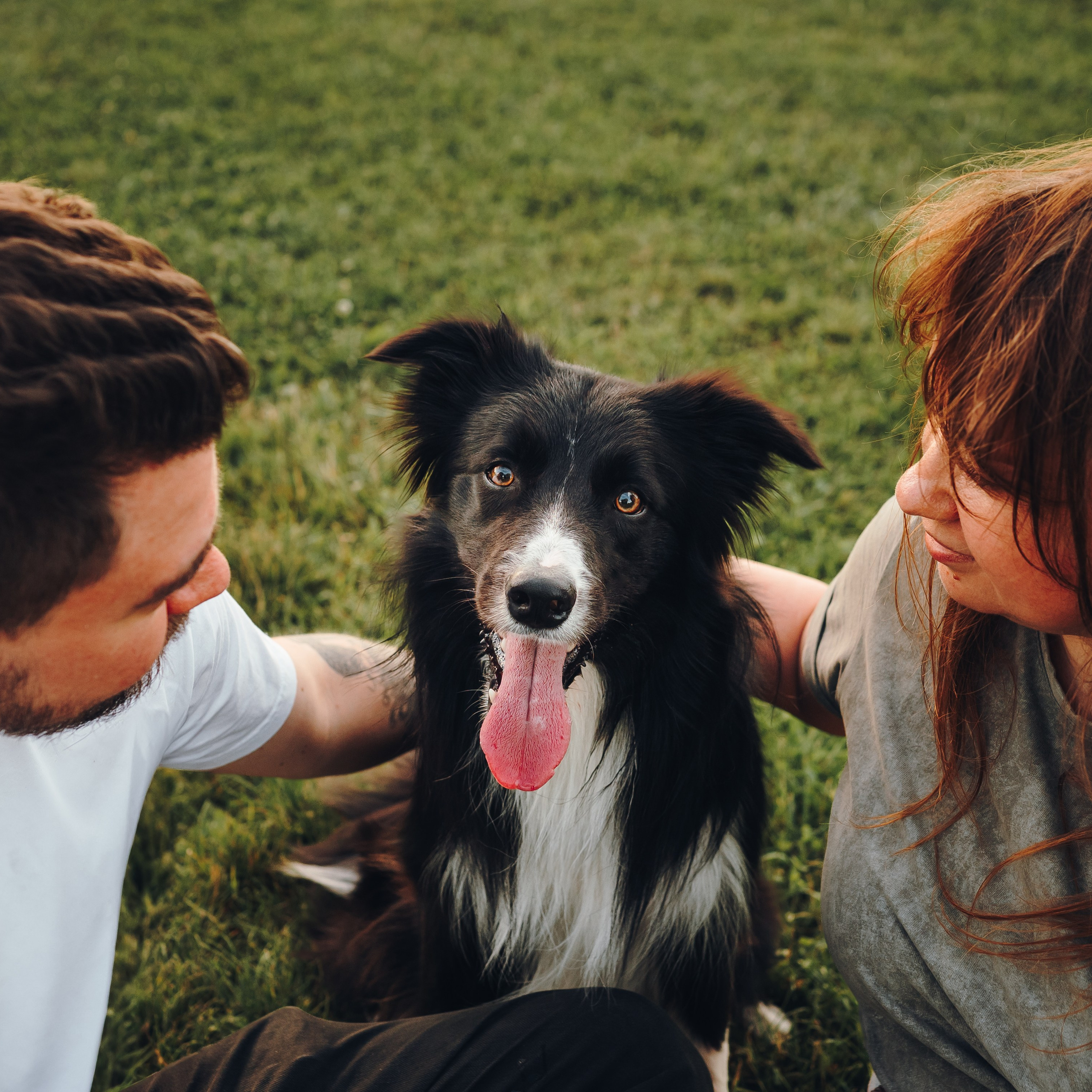 Марина и Эдж