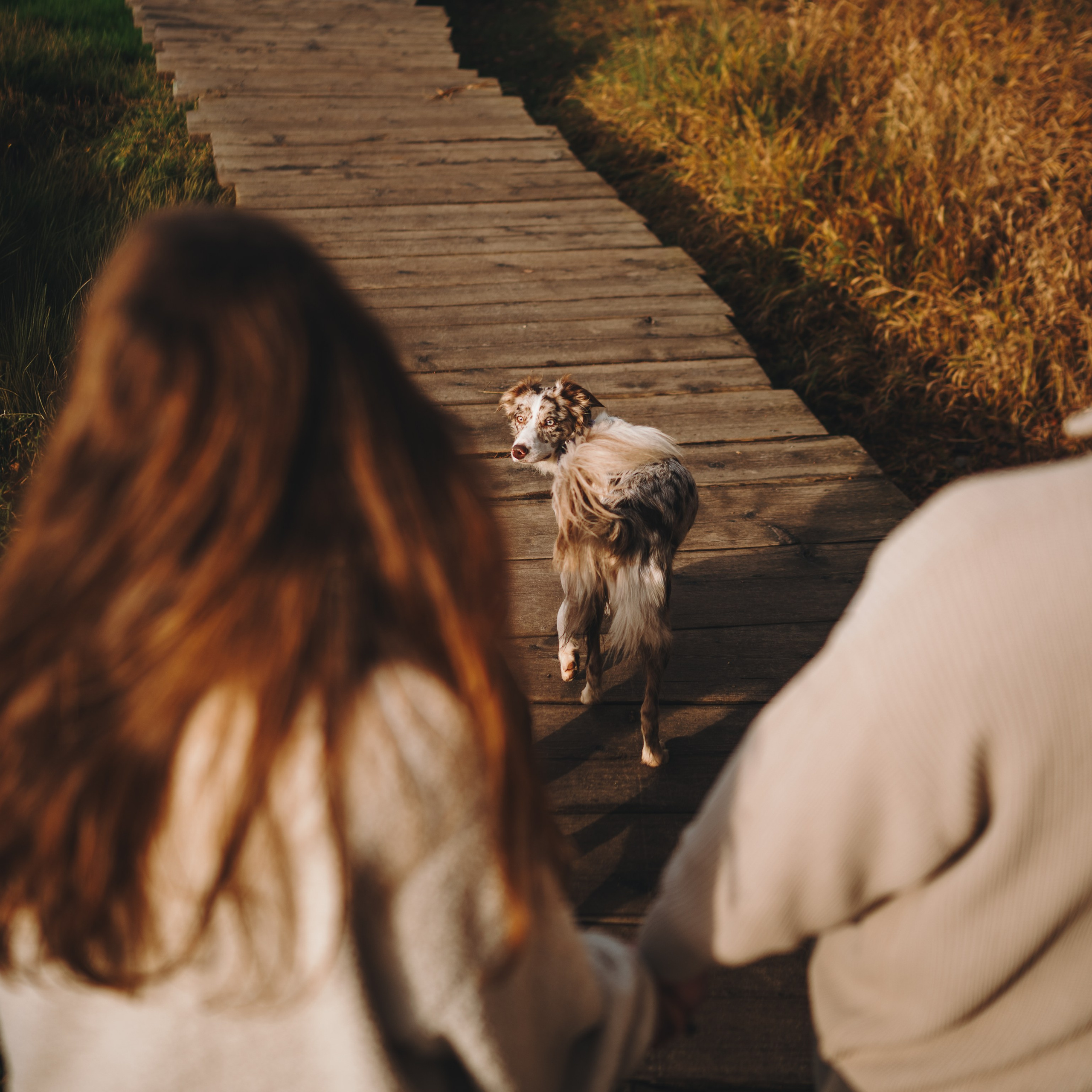 Настя, Максим, Орео и Норд