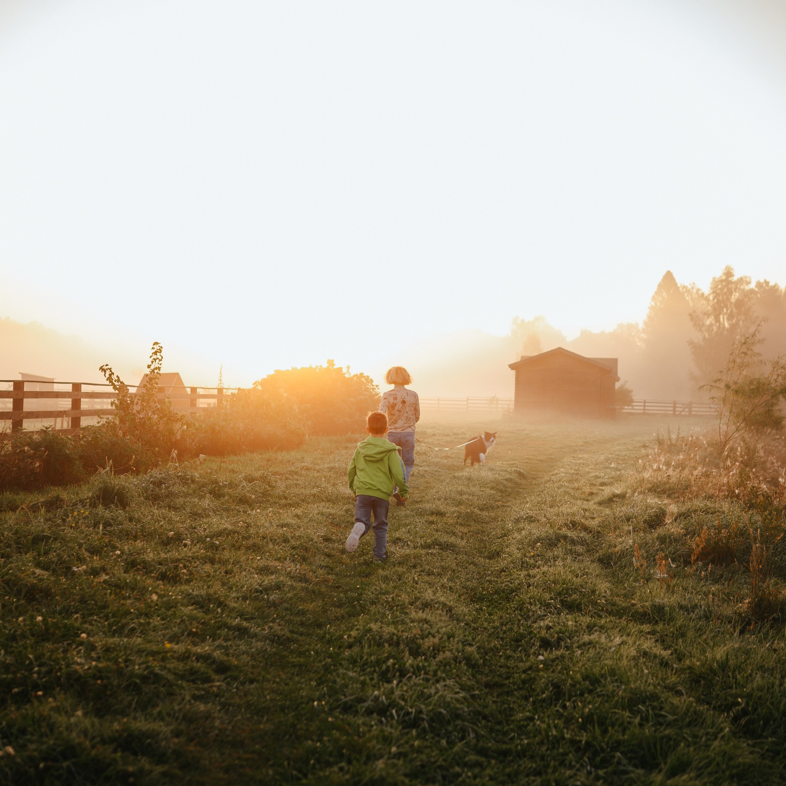 Семейная прогулка