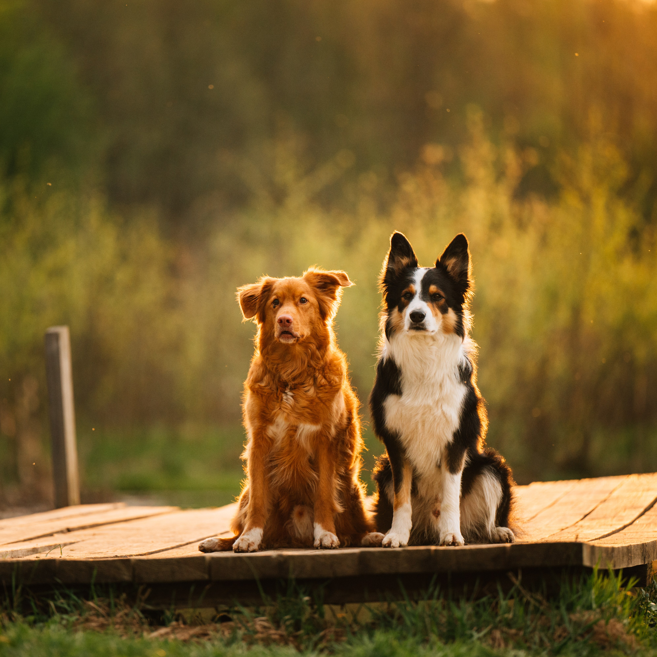 Алия, Ирвин и Грут