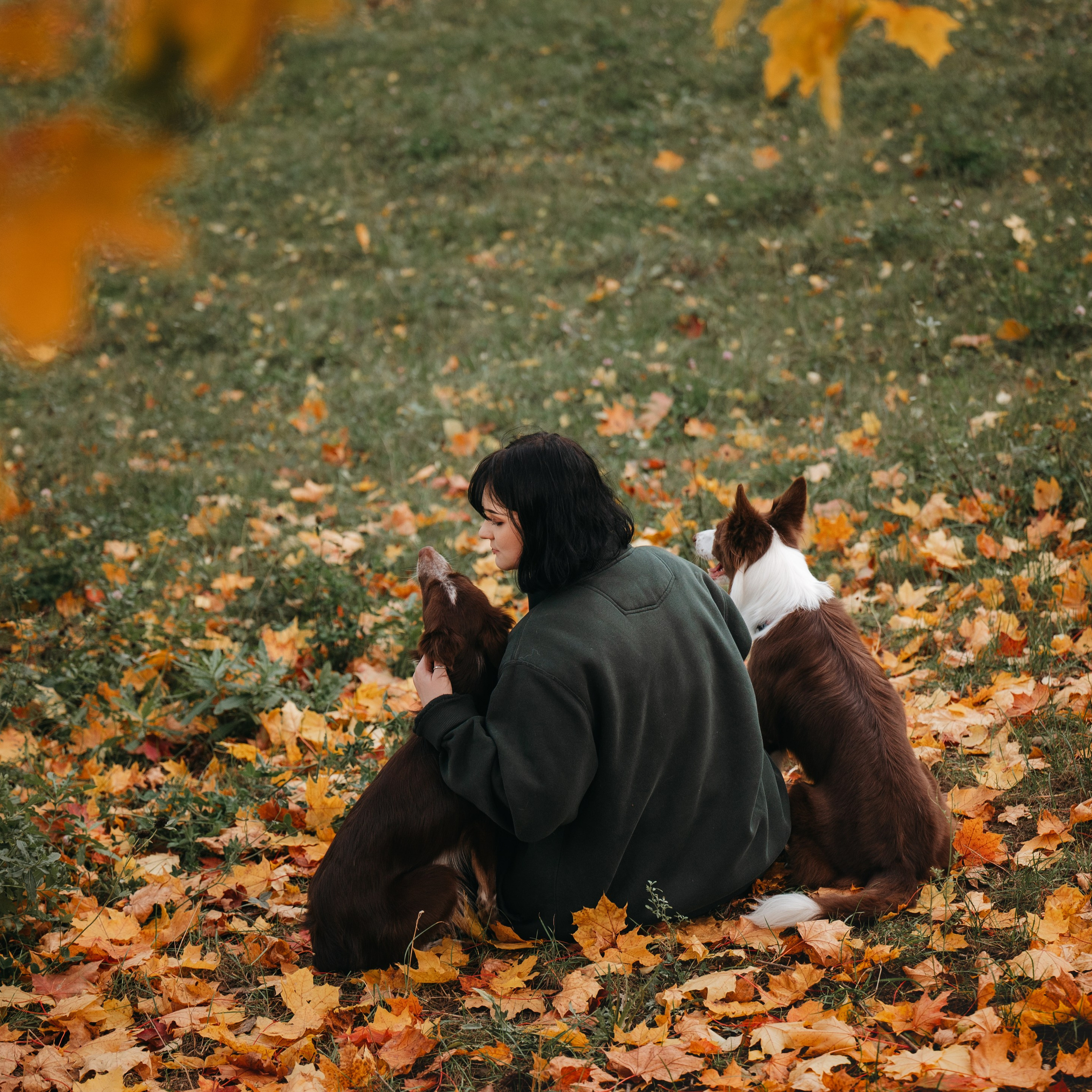 Даша, Мика и Теллур