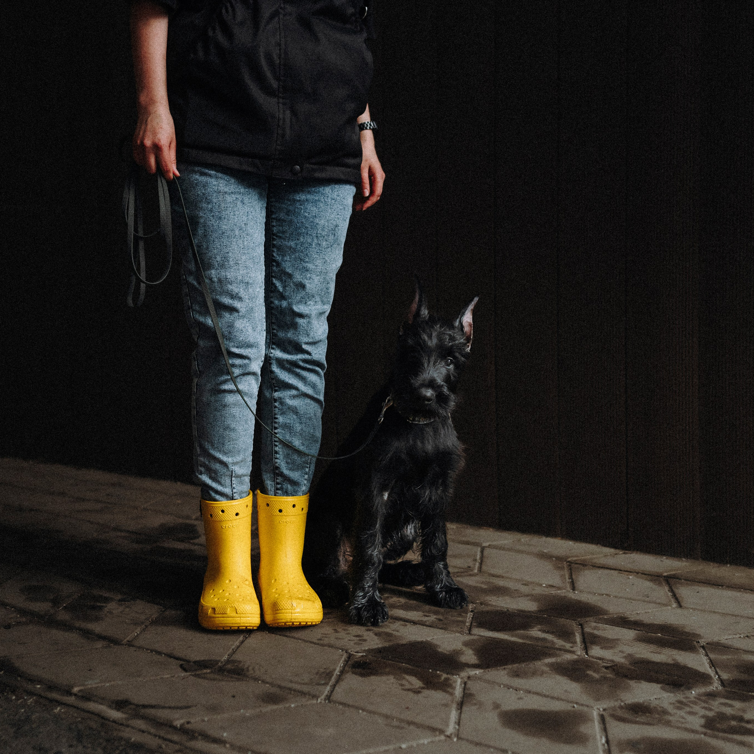 Даша и Умбра