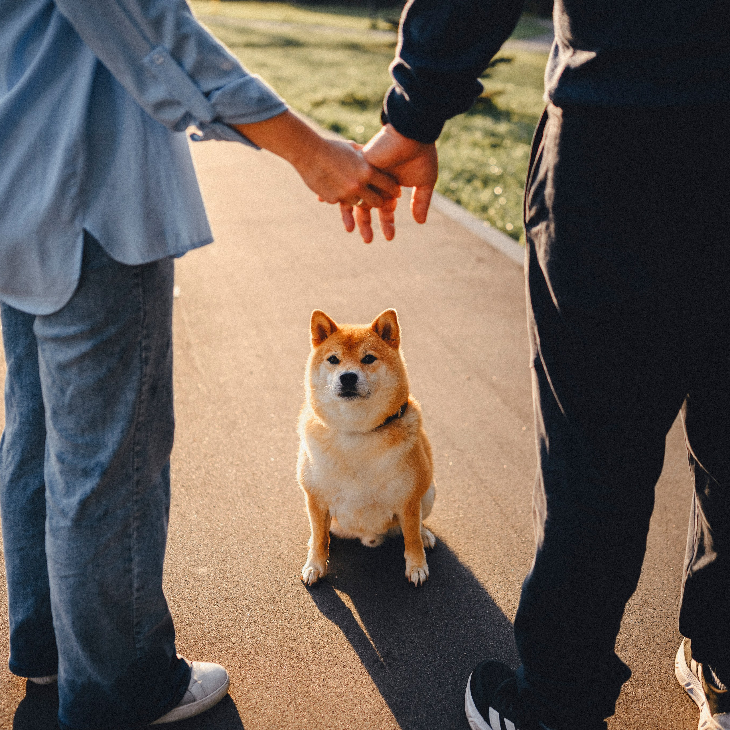 Отзывы. Семейный фотограф анималист Ананьева Мария — Москва