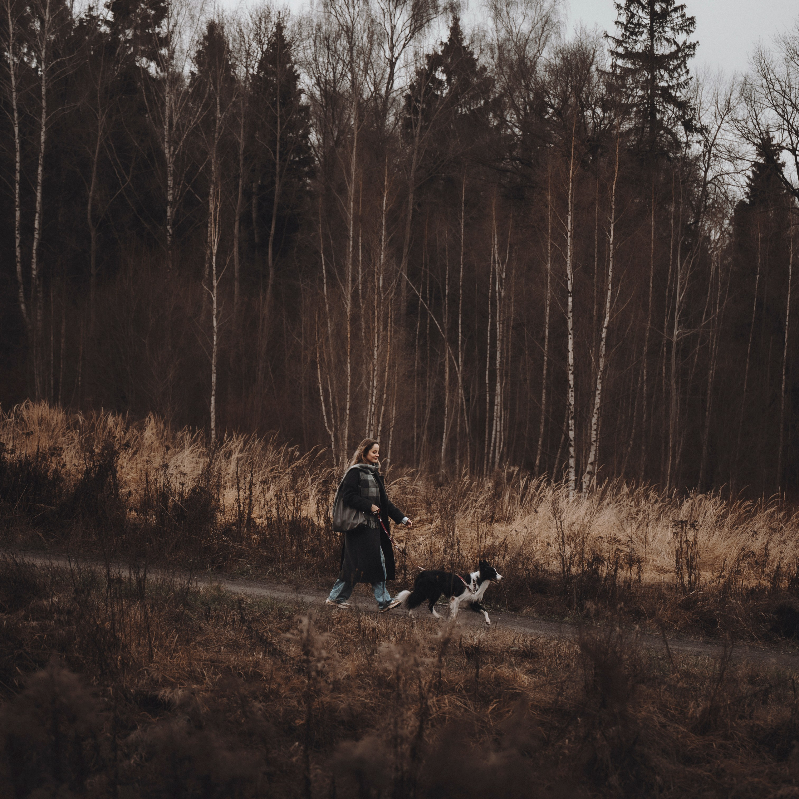 Даша и Того