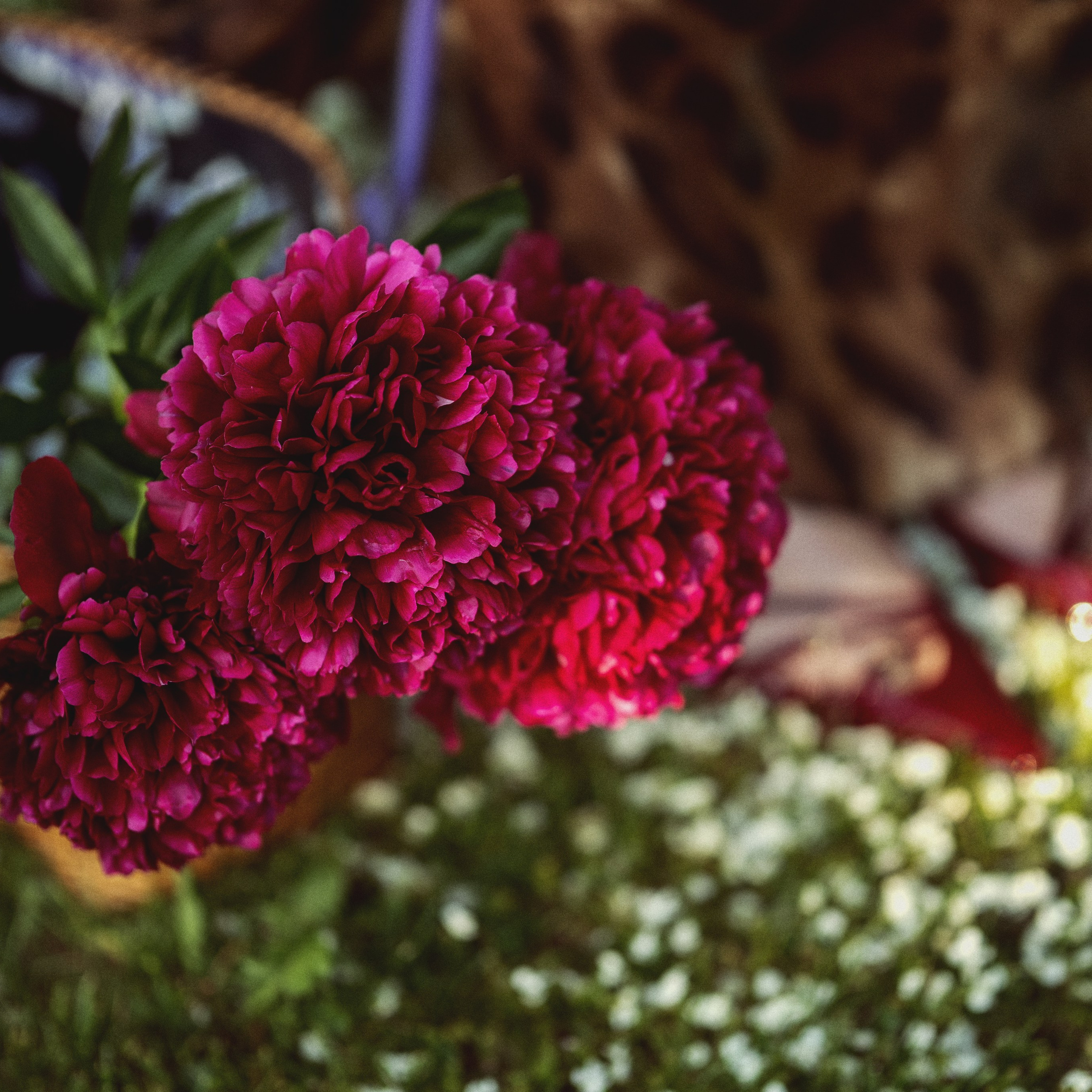 Дизайнер одежды