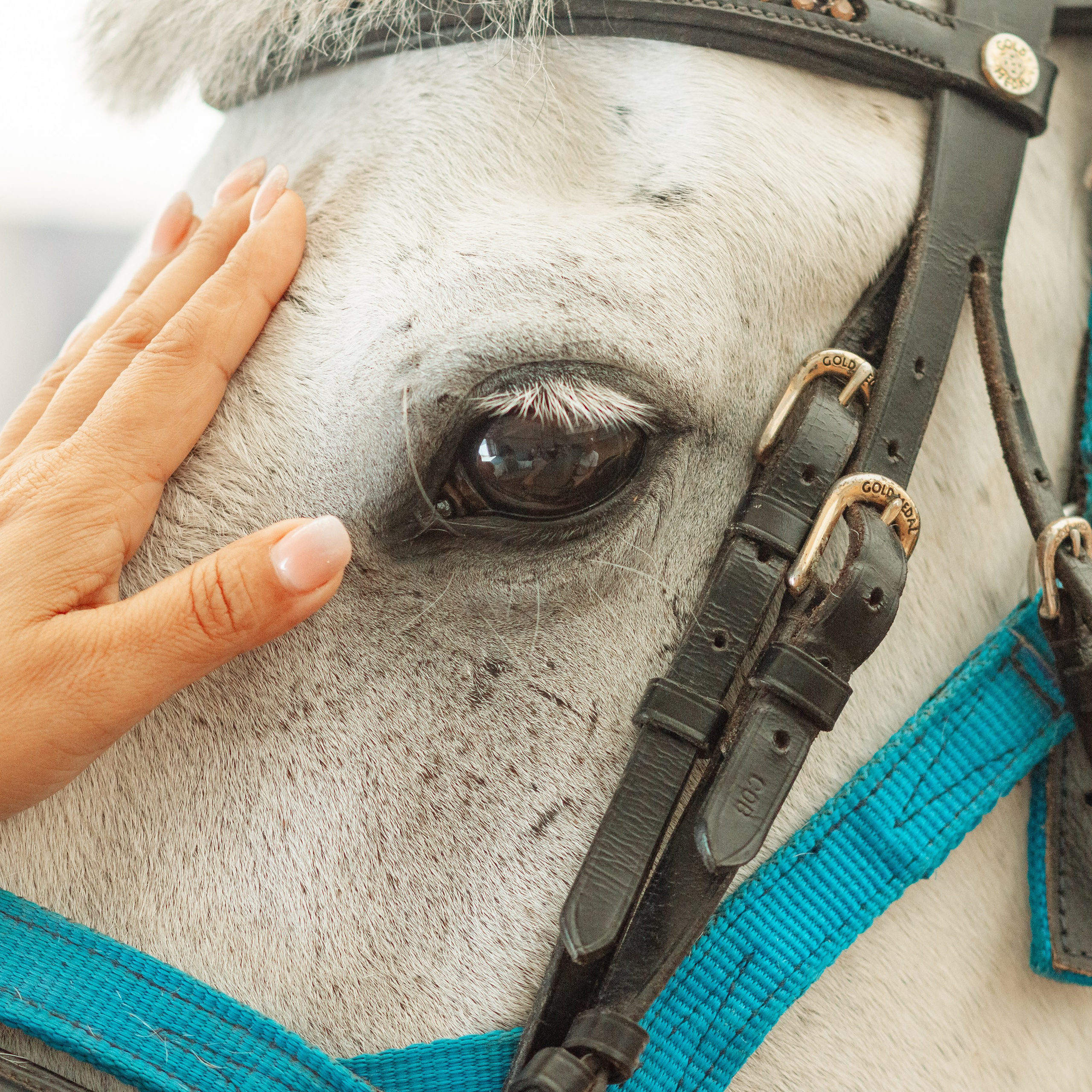 Соревнования г. Новороссийск 2023 г
