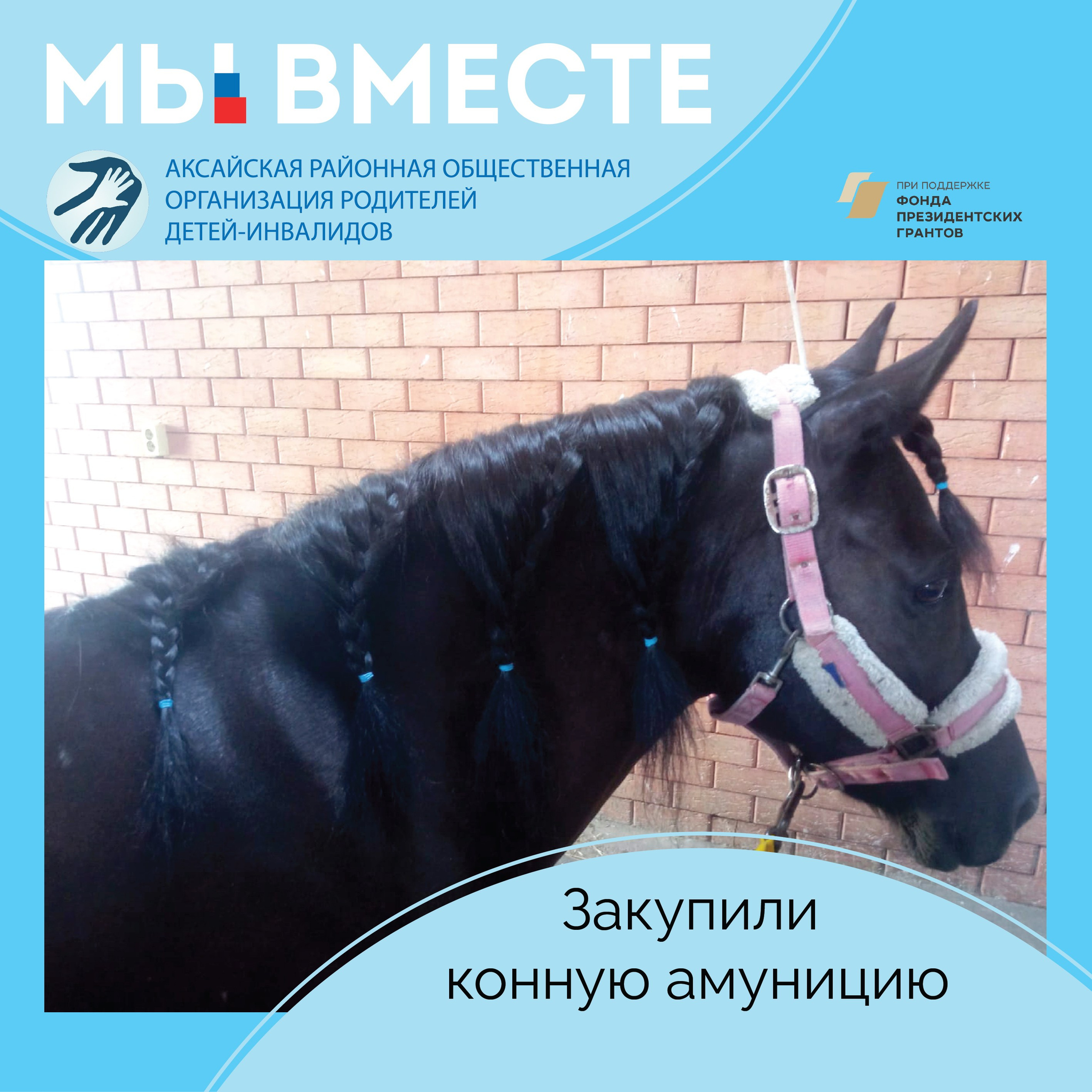 Выезды в поля на лошади