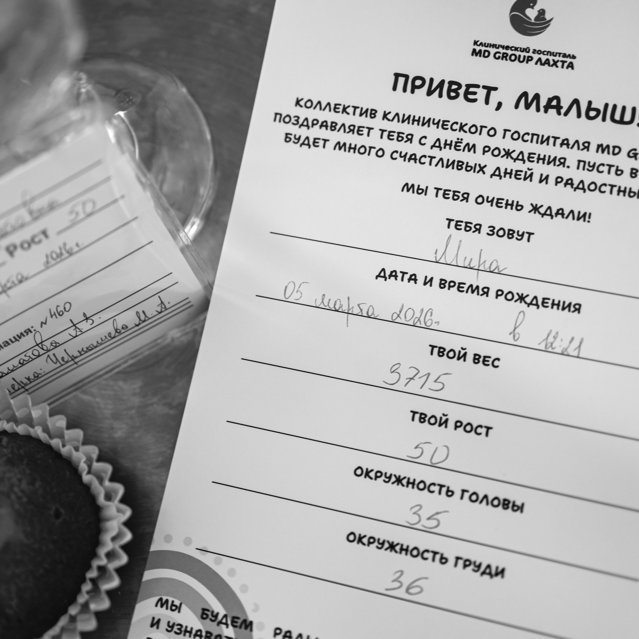 Рождение Мирославы