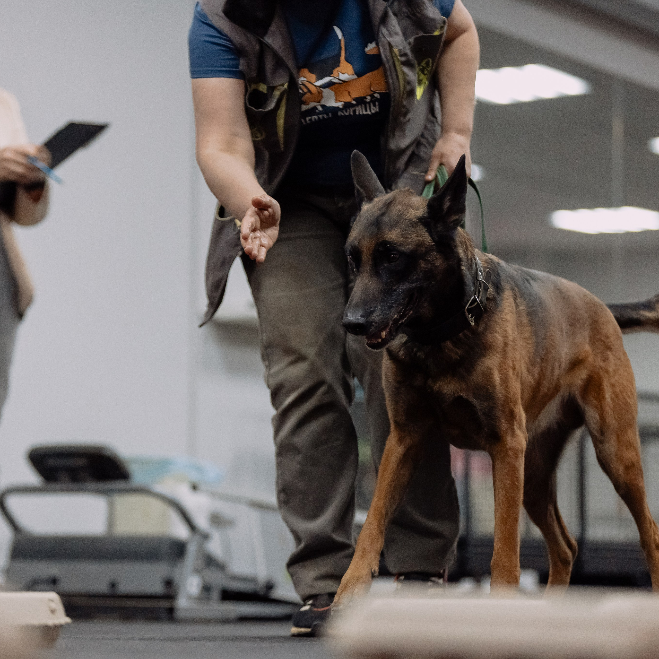 Отзывы. Фотограф Анималист Екатерина Справцева в Нижнем Новгороде