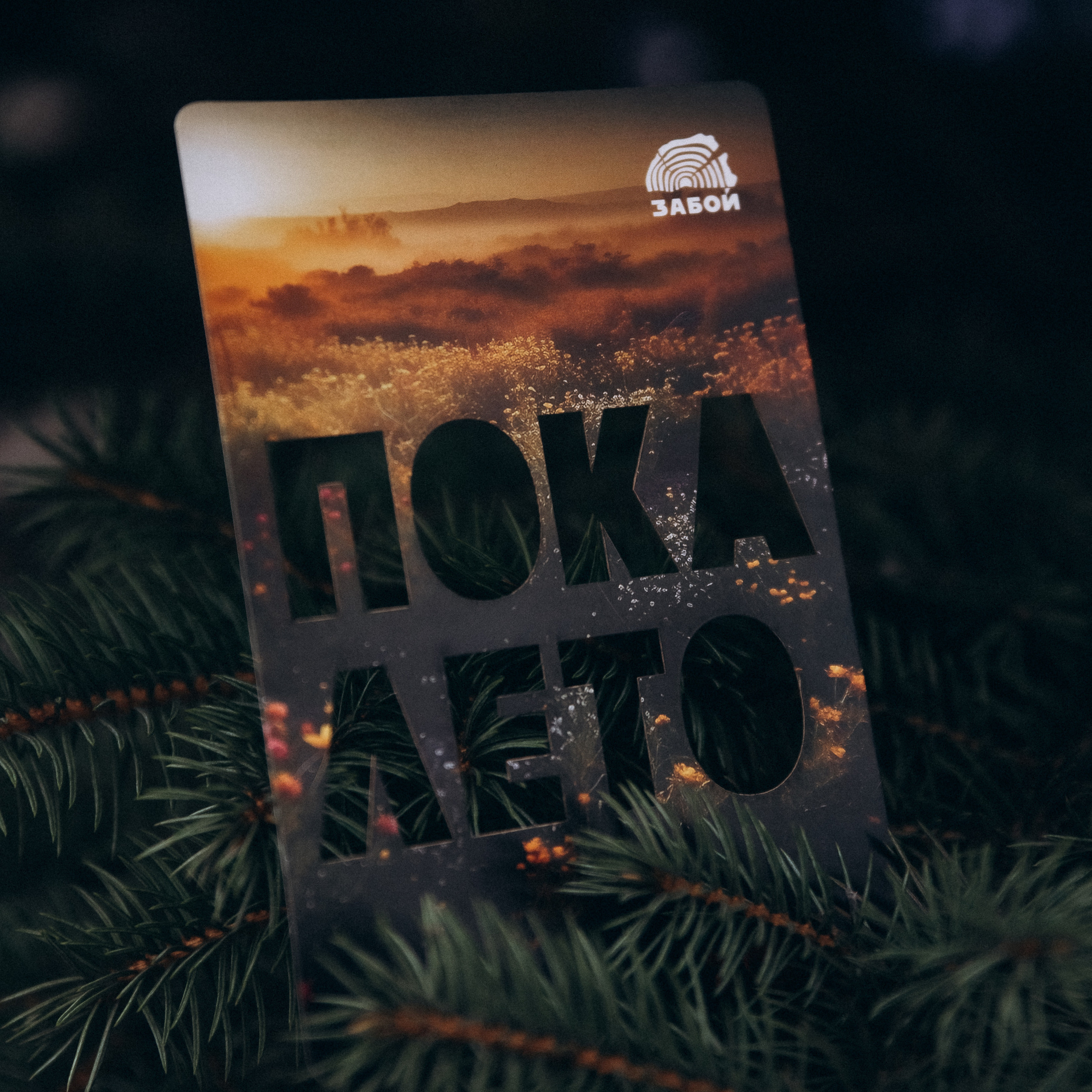 Отзывы. Фотограф Роман Блинов