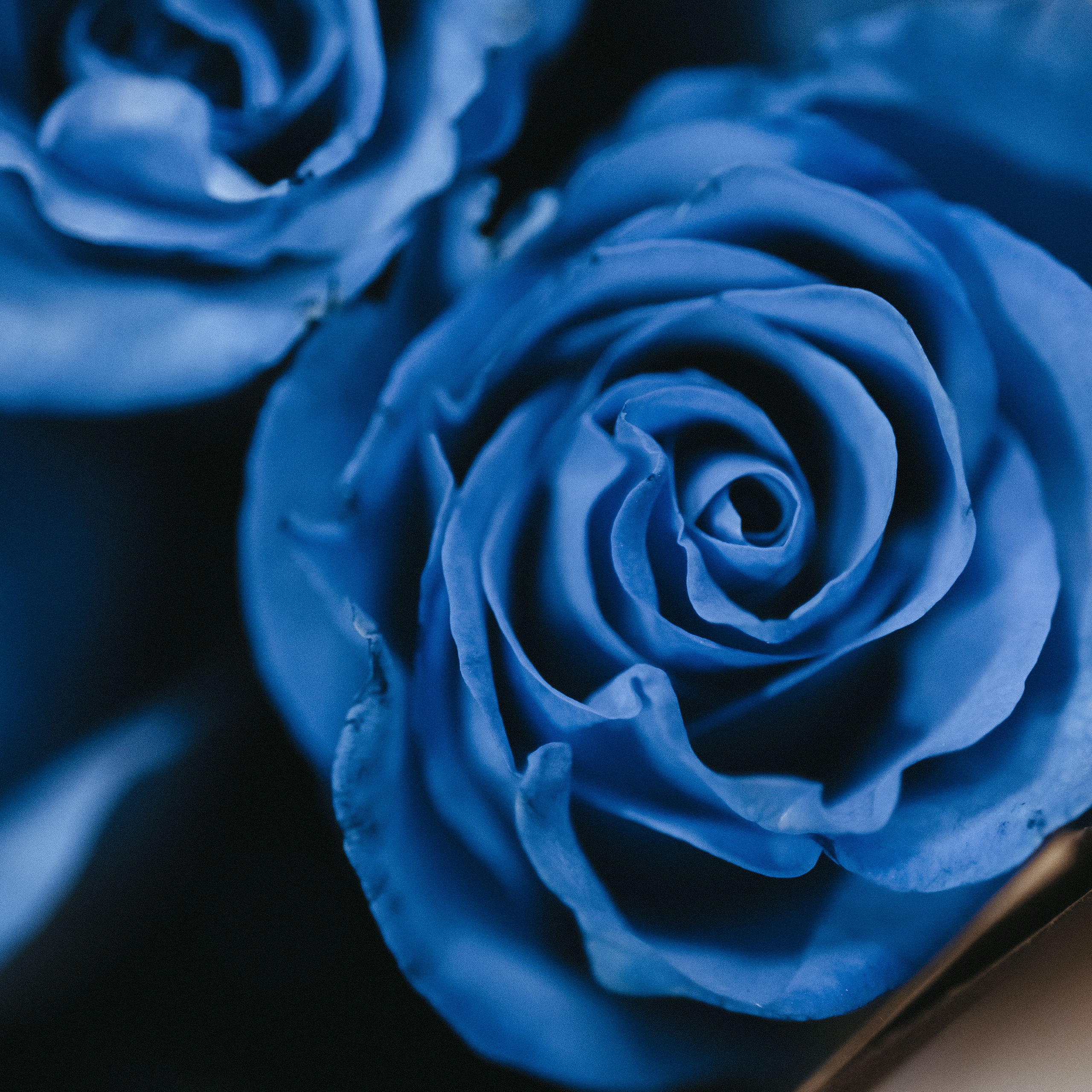 Отзывы. Фотограф Роман Блинов