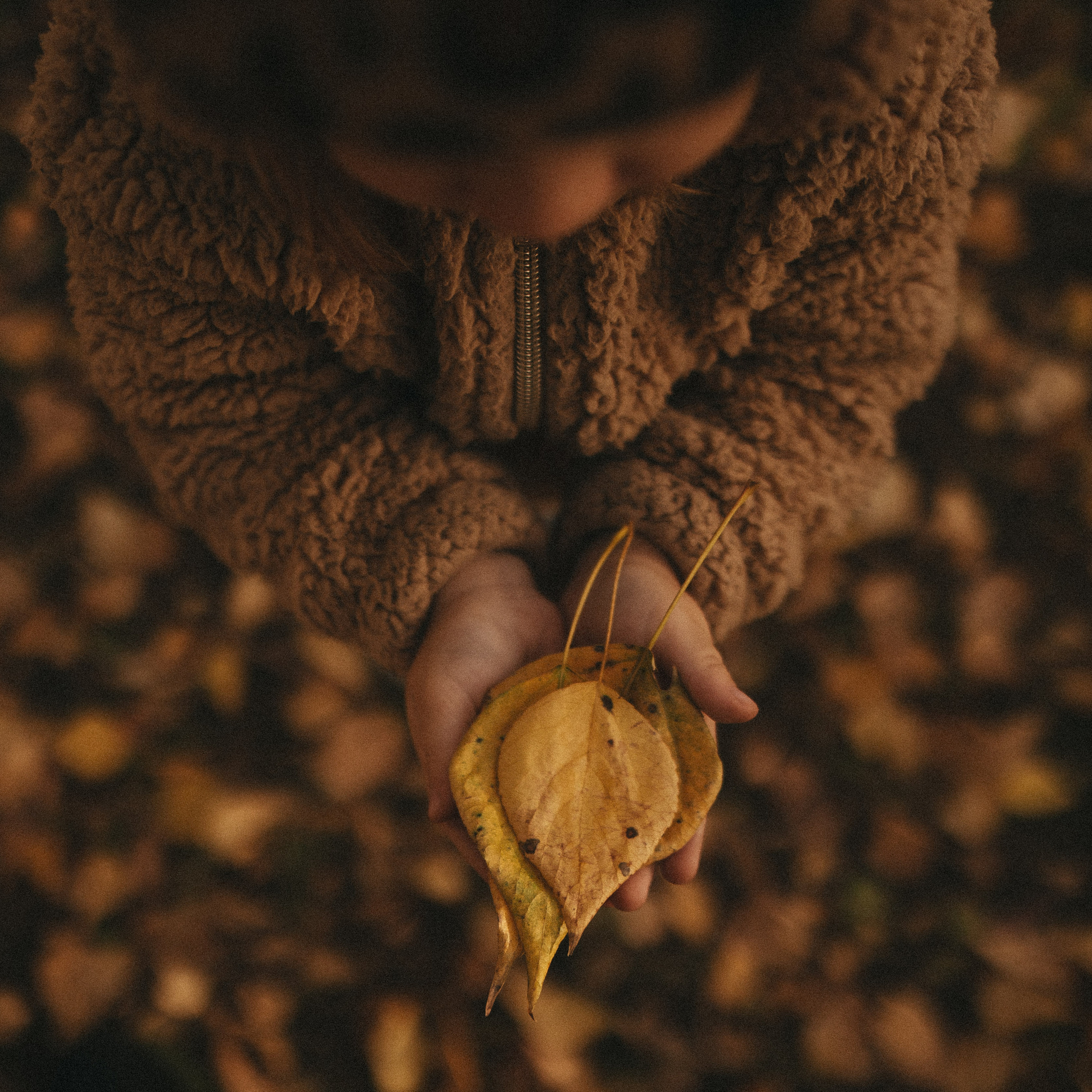 Отзывы. Фотограф Роман Блинов