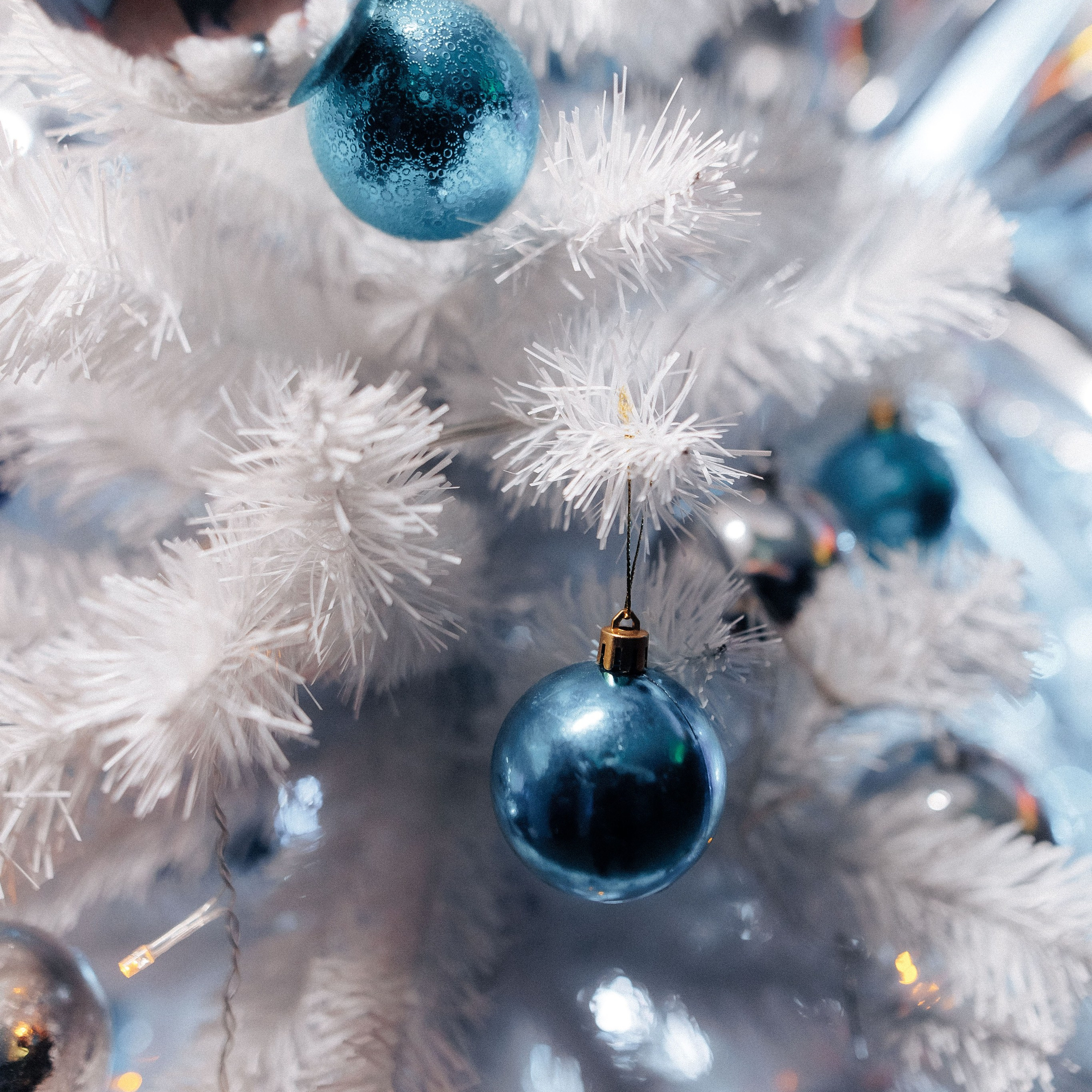 Отзывы. Фотограф Роман Блинов