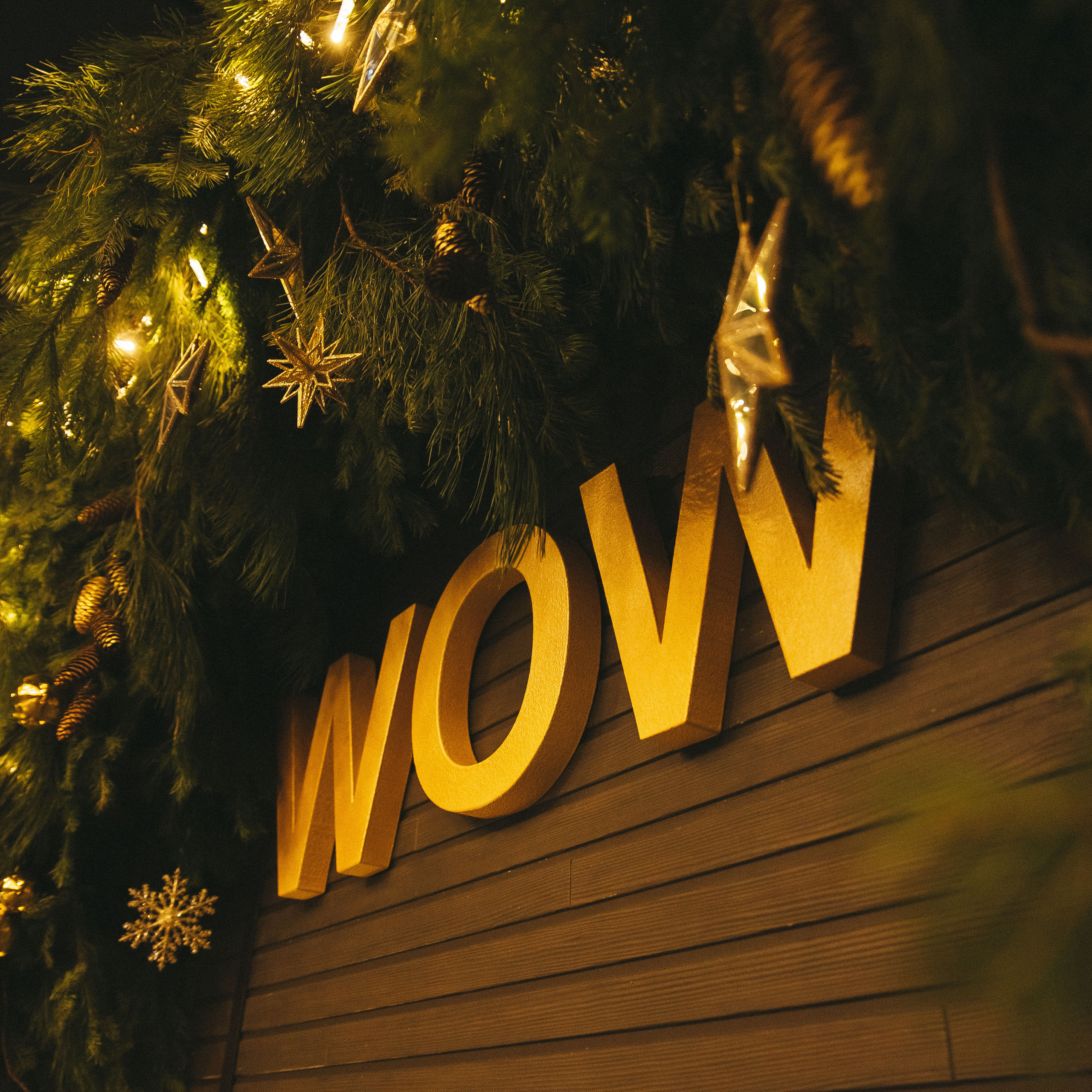 Отзывы. Фотограф Роман Блинов