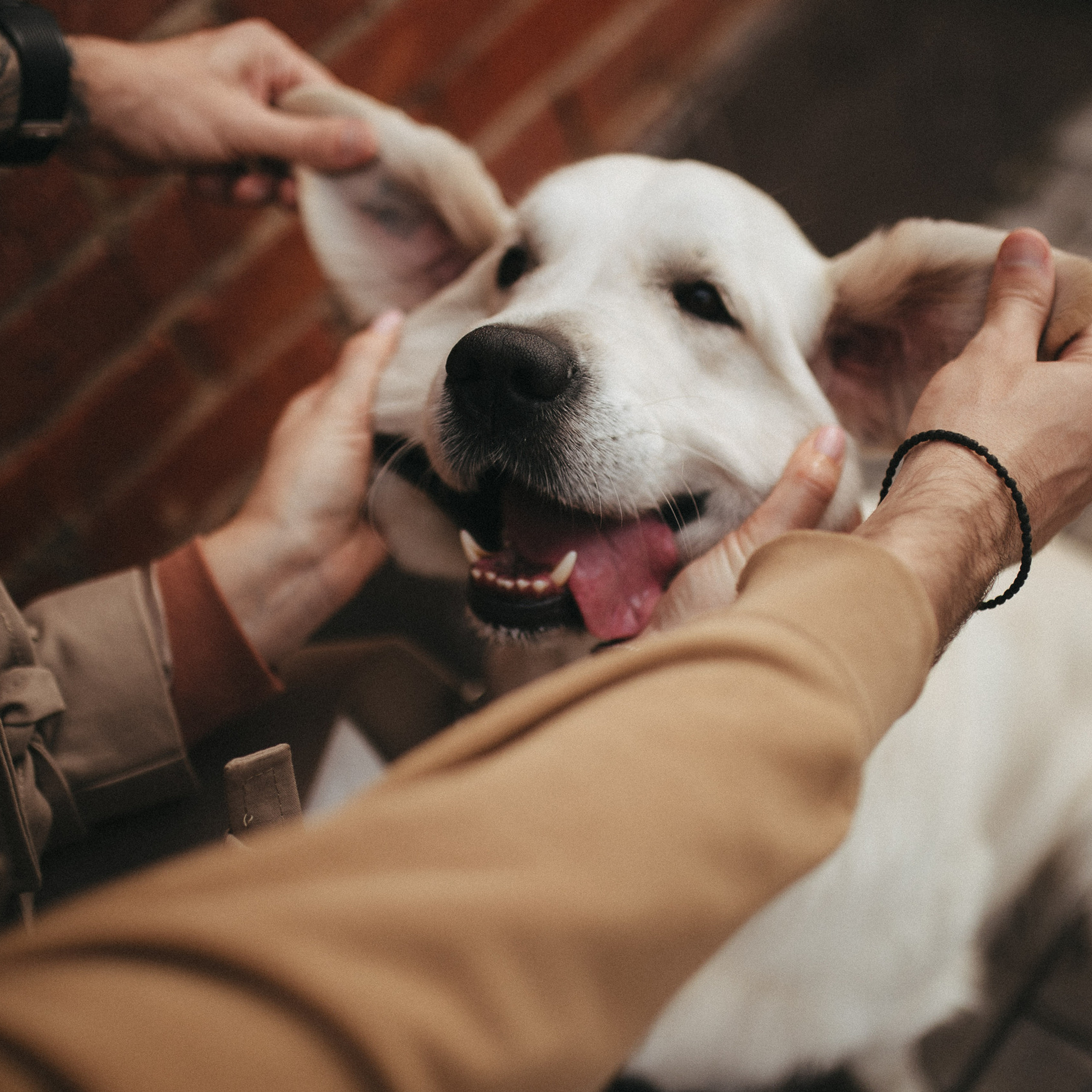 Отзывы. Фотограф Роман Блинов