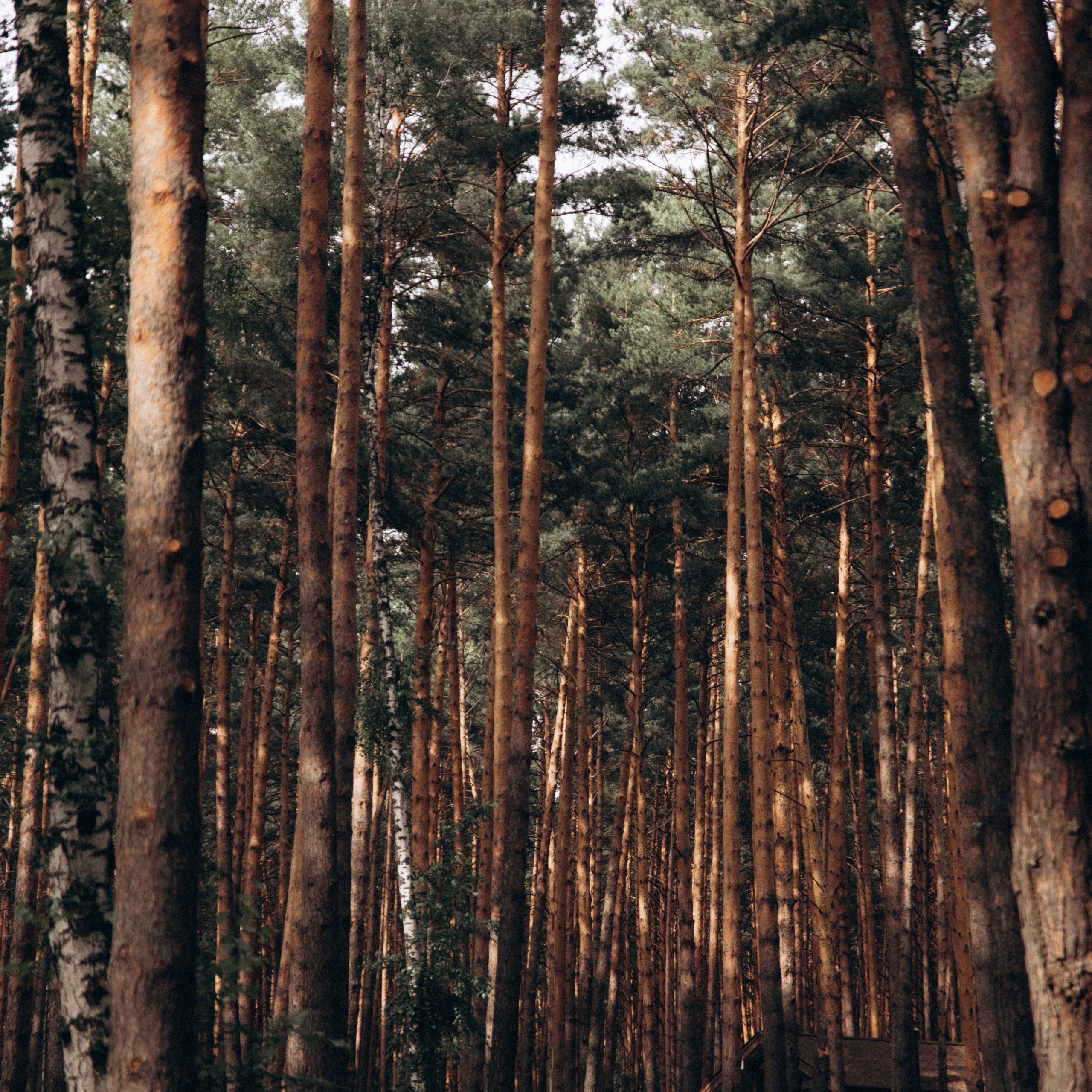Отзывы. Фотограф Роман Блинов