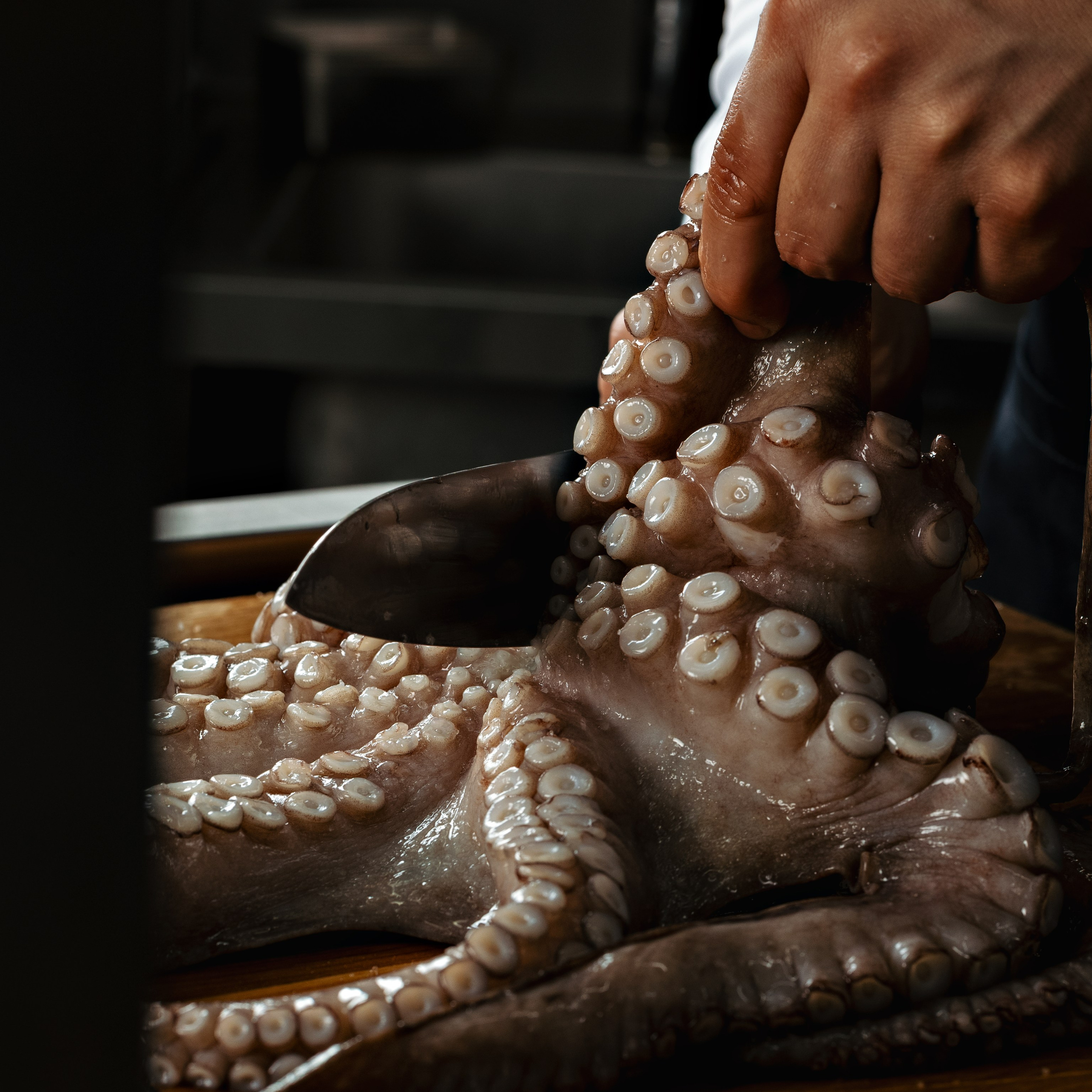 Кухня фоторепортаж