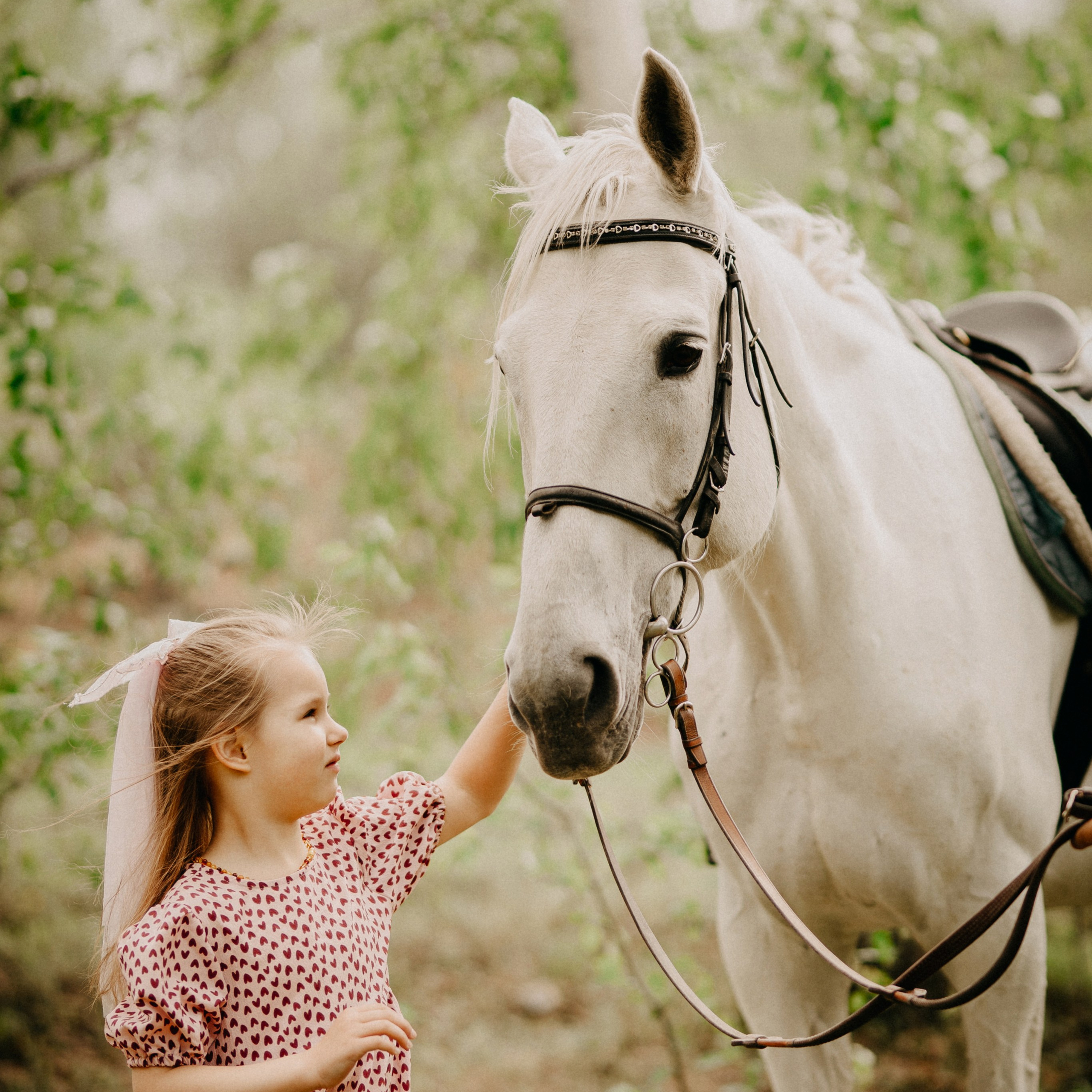 С лошадьми