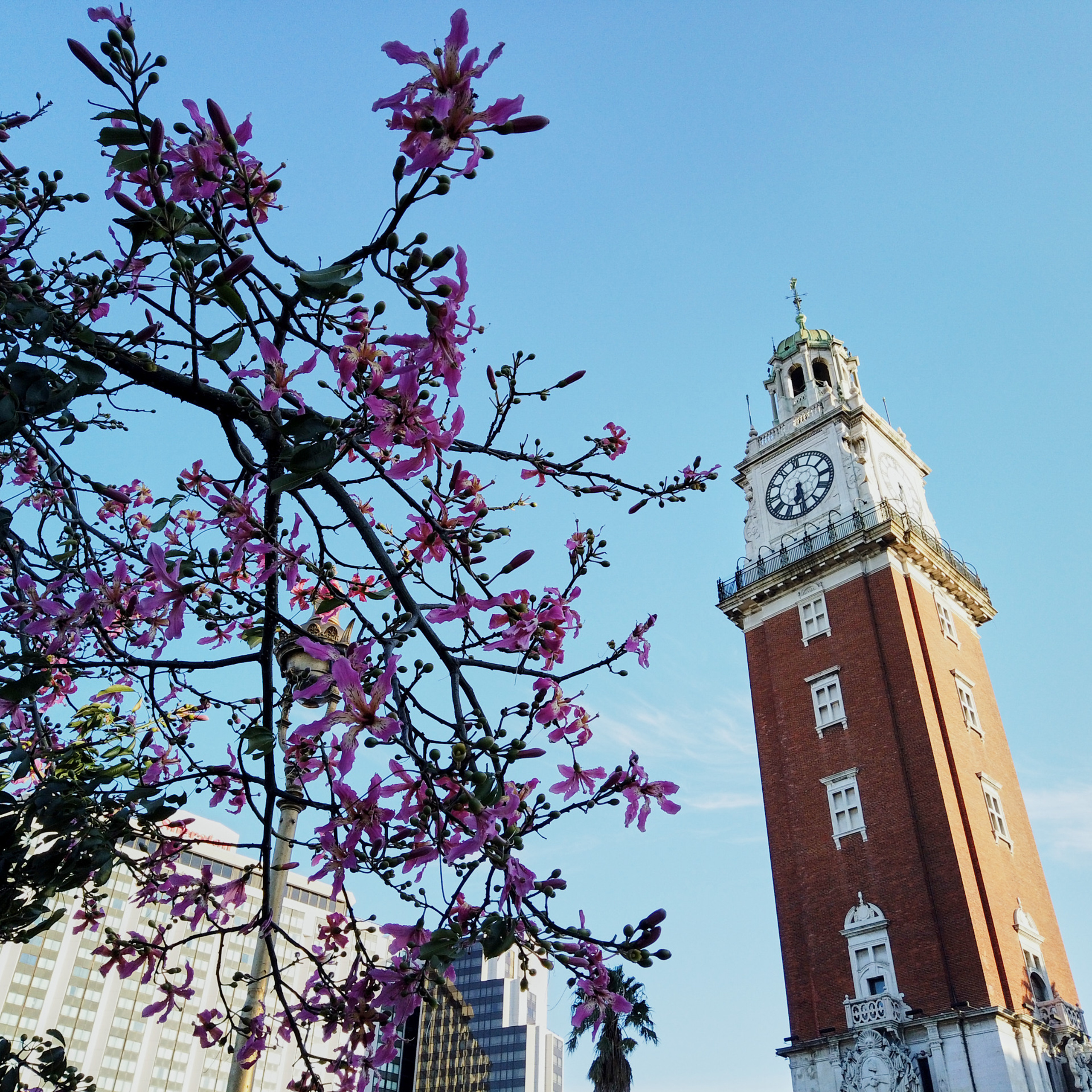Патагония 2019. Айгуль Лотфуллина. #АйгульТВ. Фотограф в Адлере и Сочи, Красной Поляне