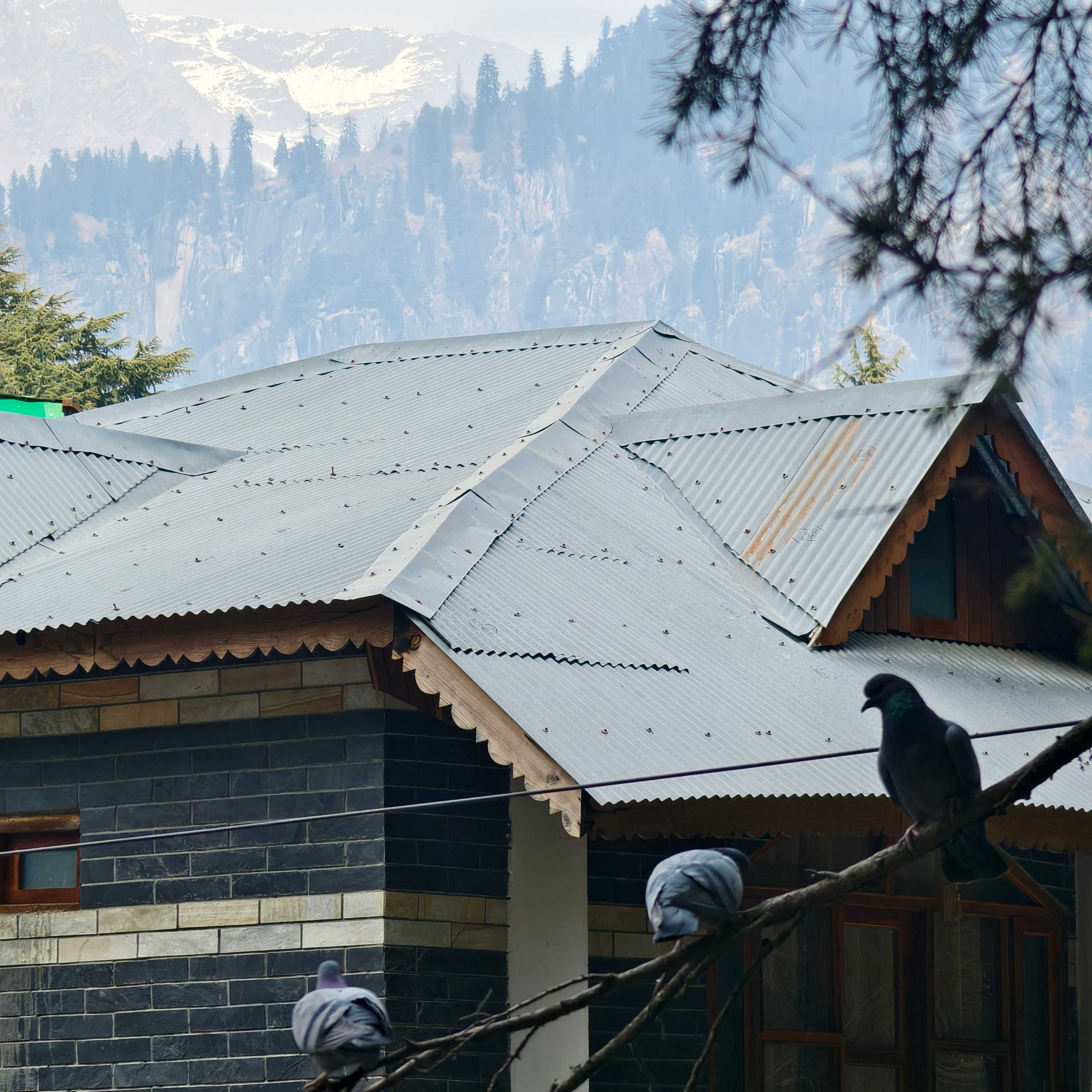 Путешествие в Долину Богов — Манали. Айгуль Лотфуллина. #АйгульТВ. Фотограф в Адлере и Сочи, Красной Поляне