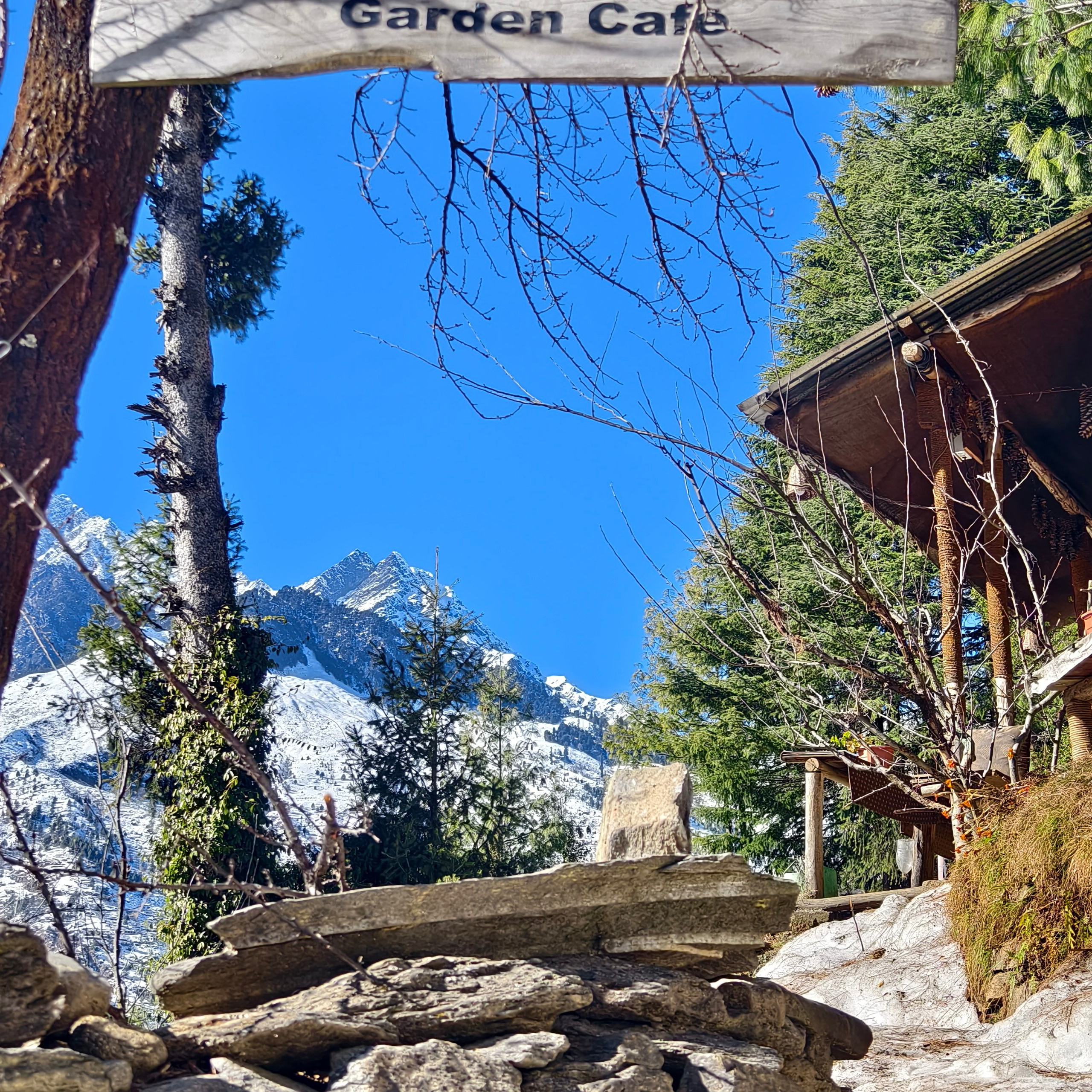 Путешествие в Долину Богов — Манали. Айгуль Лотфуллина. #АйгульТВ. Фотограф в Адлере и Сочи, Красной Поляне