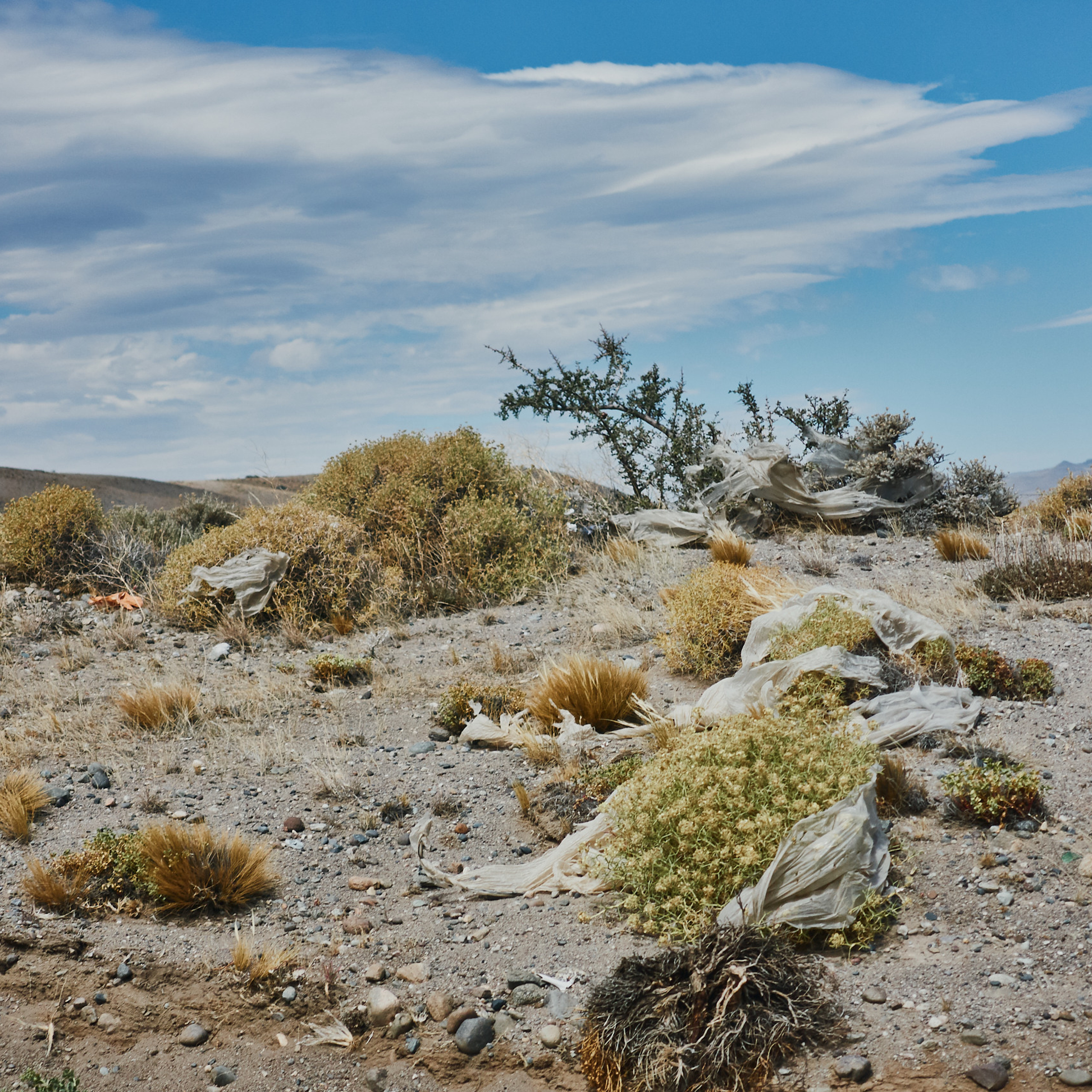 Патагония 2019. Айгуль Лотфуллина. #АйгульТВ. Фотограф в Адлере и Сочи, Красной Поляне