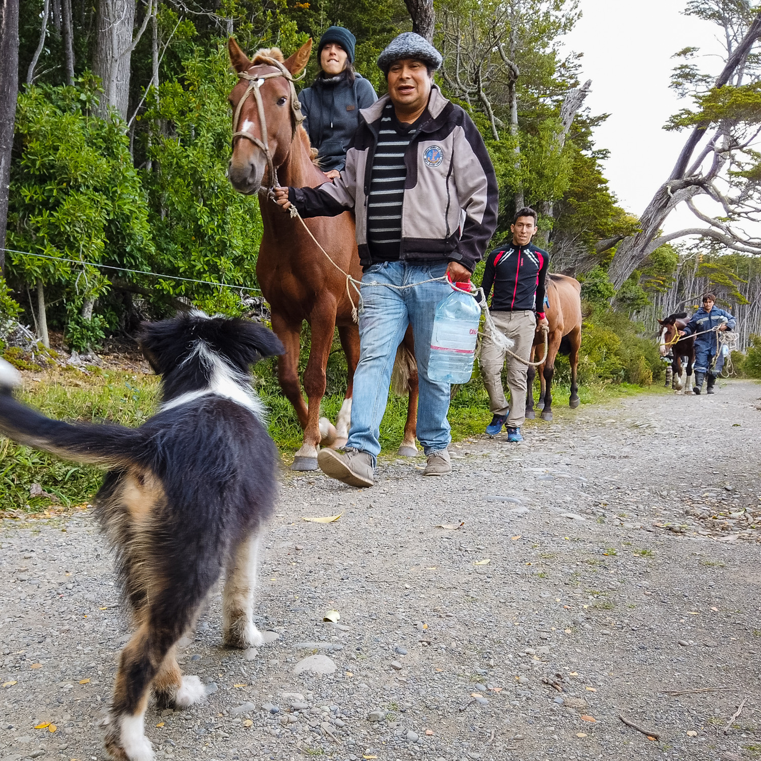 Патагония 2019. Айгуль Лотфуллина. #АйгульТВ. Фотограф в Адлере и Сочи, Красной Поляне