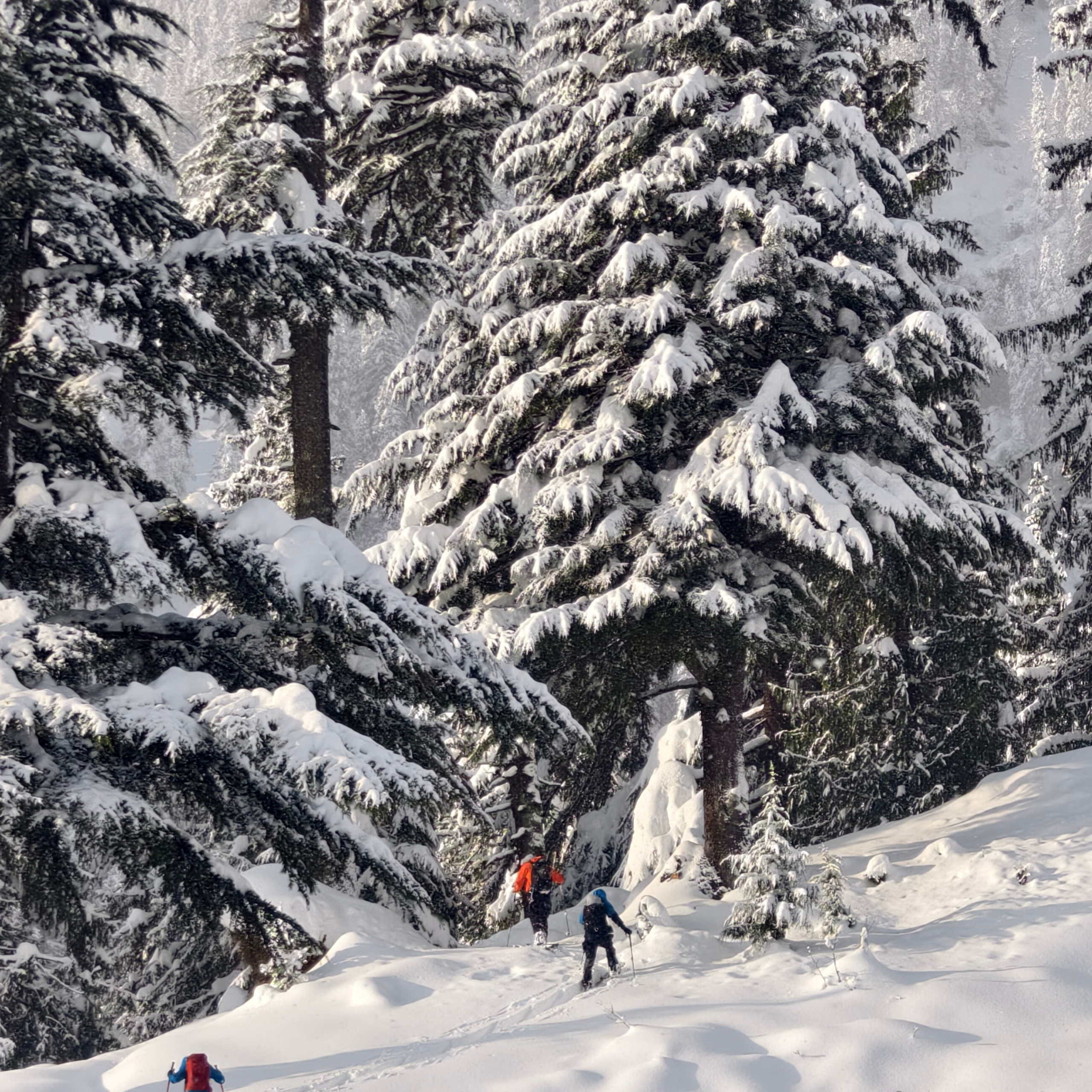 Путешествие в Долину Богов — Манали. Айгуль Лотфуллина. #АйгульТВ. Фотограф в Адлере и Сочи, Красной Поляне