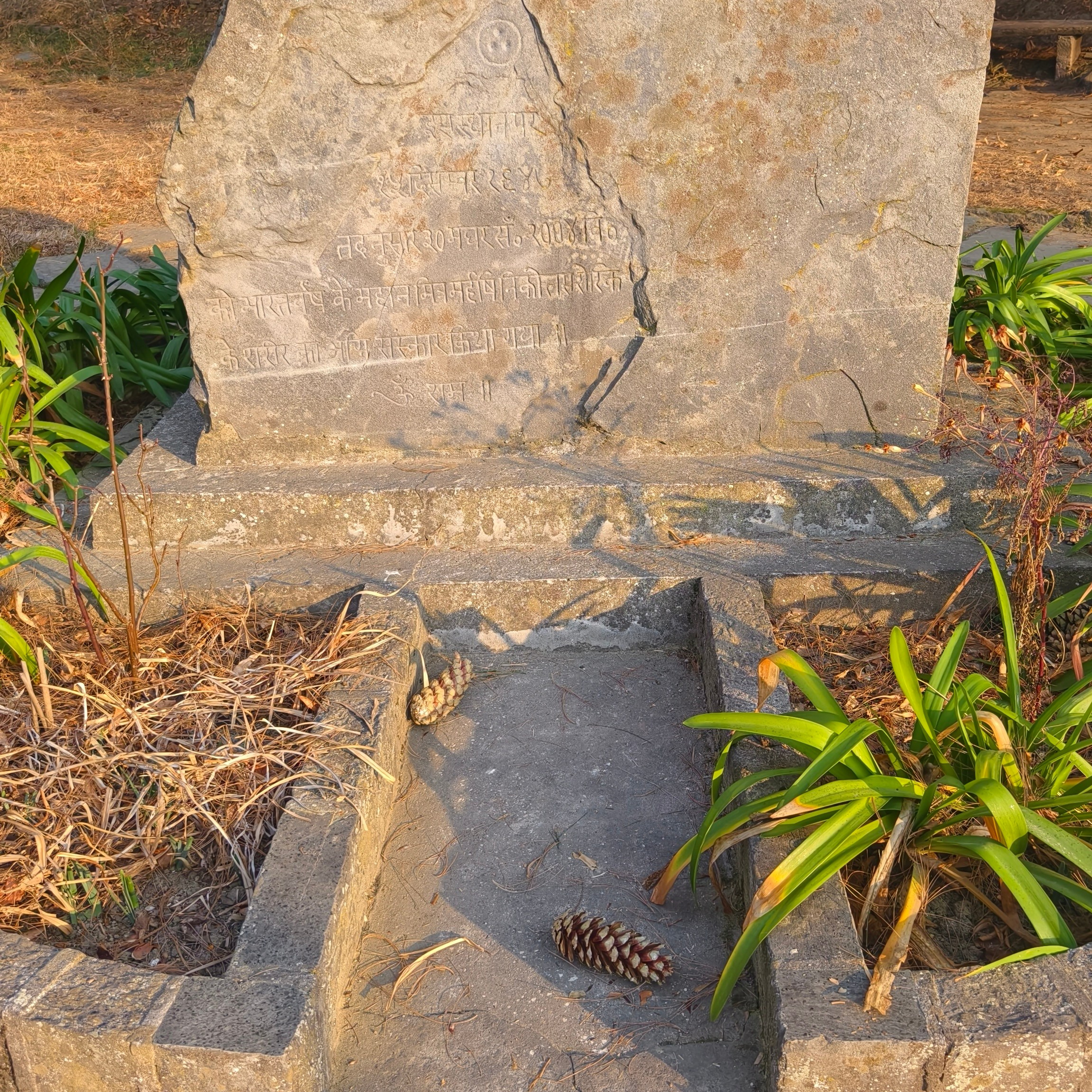 Путешествие в Долину Богов — Манали. Айгуль Лотфуллина. #АйгульТВ. Фотограф в Адлере и Сочи, Красной Поляне