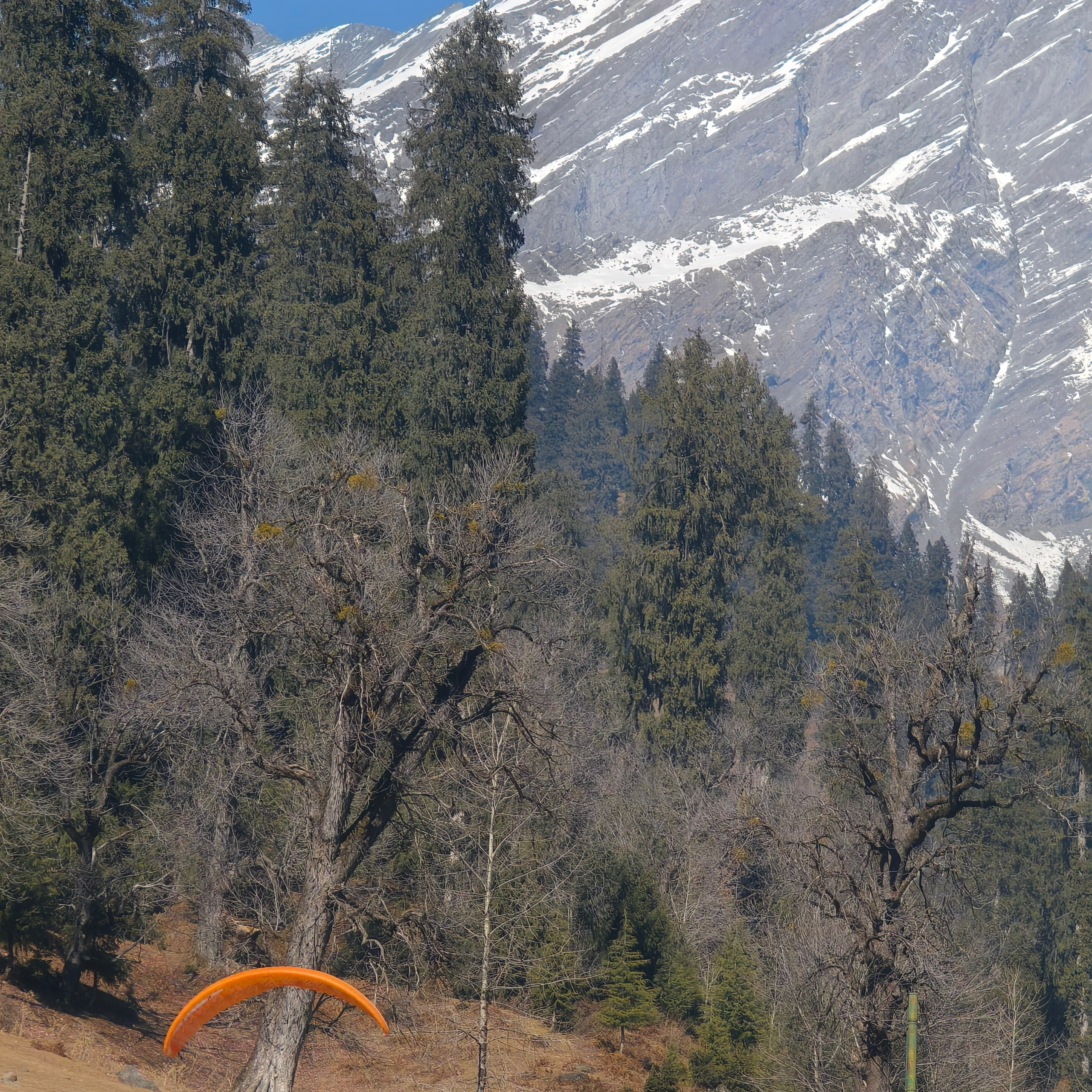 Путешествие в Долину Богов — Манали. Айгуль Лотфуллина. #АйгульТВ. Фотограф в Адлере и Сочи, Красной Поляне