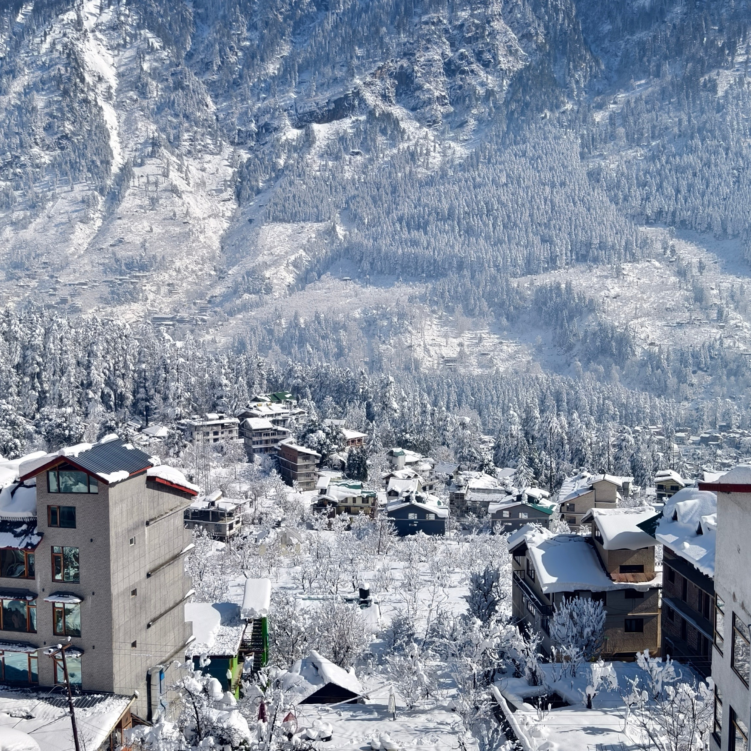 Путешествие в Долину Богов — Манали. Айгуль Лотфуллина. #АйгульТВ. Фотограф в Адлере и Сочи, Красной Поляне