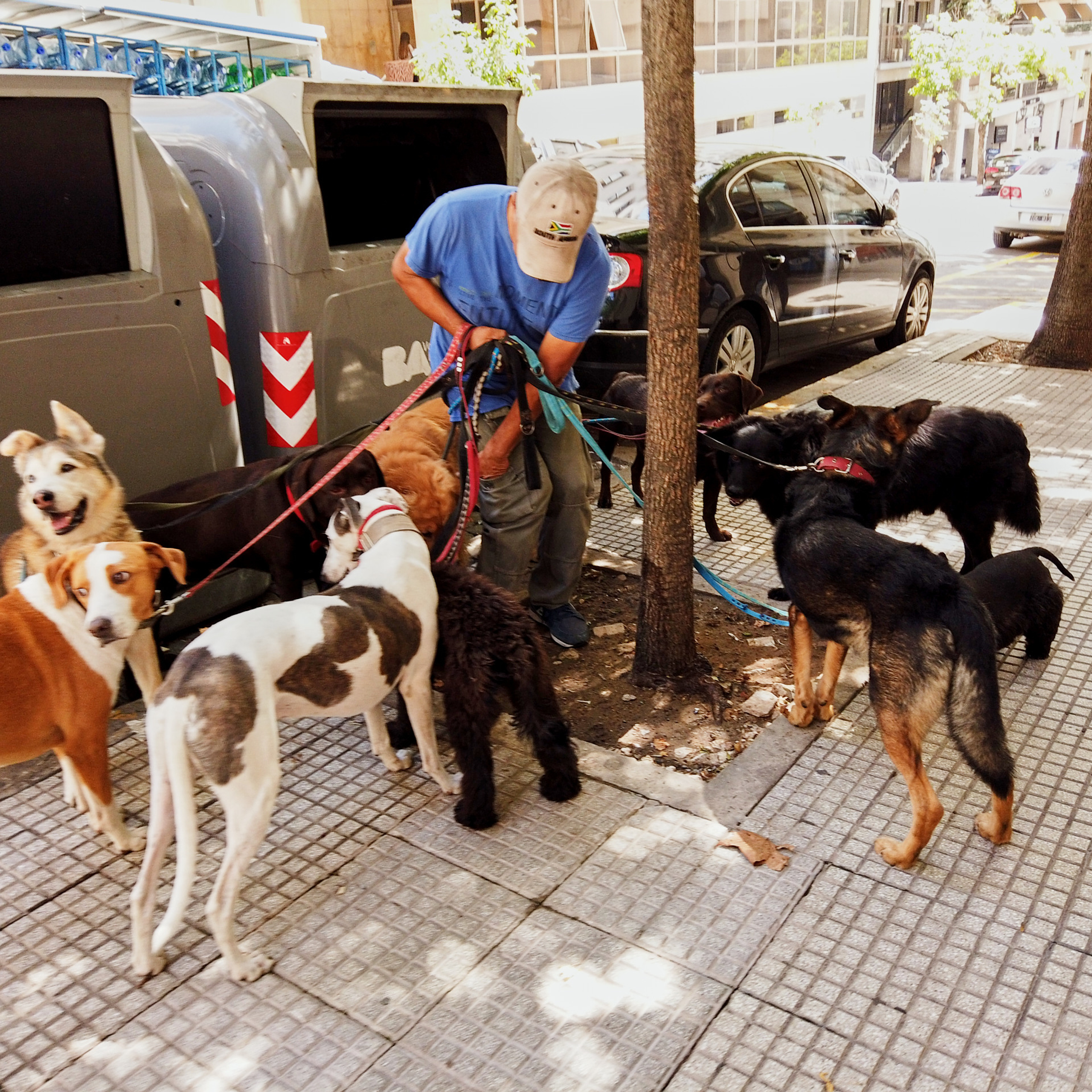 Патагония 2019. Айгуль Лотфуллина. #АйгульТВ. Фотограф в Адлере и Сочи, Красной Поляне