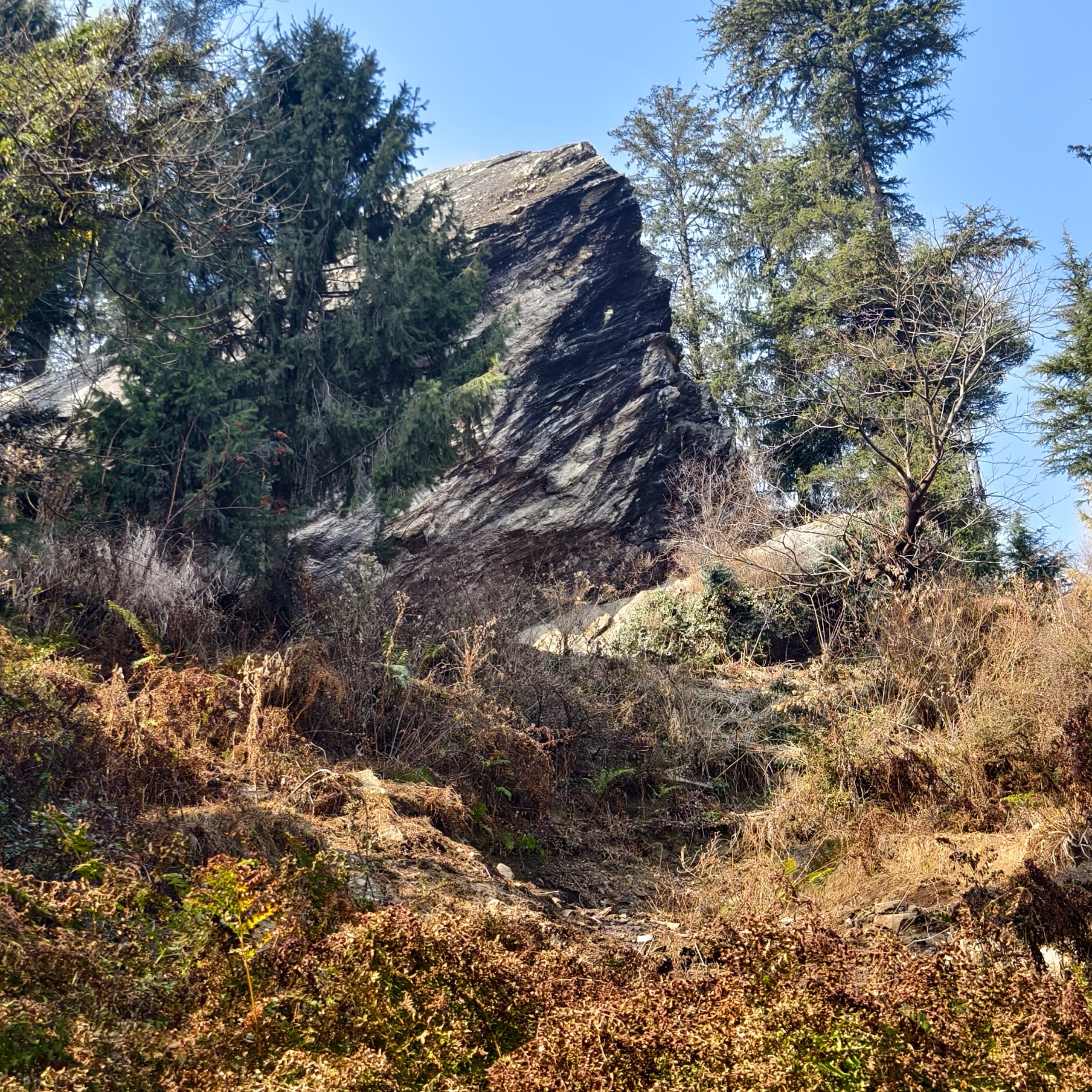 Путешествие в Долину Богов — Манали. Айгуль Лотфуллина. #АйгульТВ. Фотограф в Адлере и Сочи, Красной Поляне