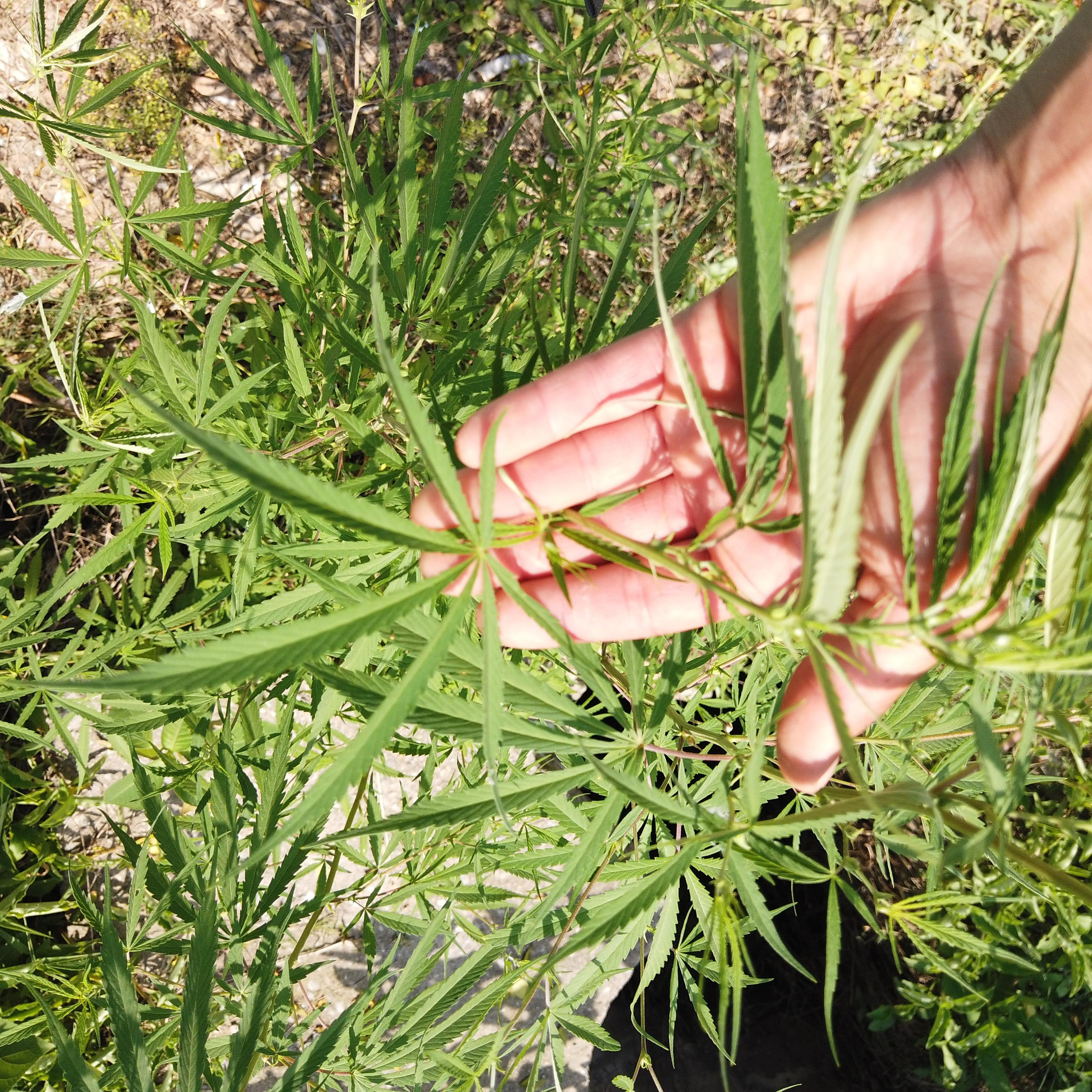 Пакистан 2019, путевые заметки, Лотфуллина Айгуль. Айгуль Лотфуллина. #АйгульТВ. Фотограф в Адлере и Сочи, Красной Поляне