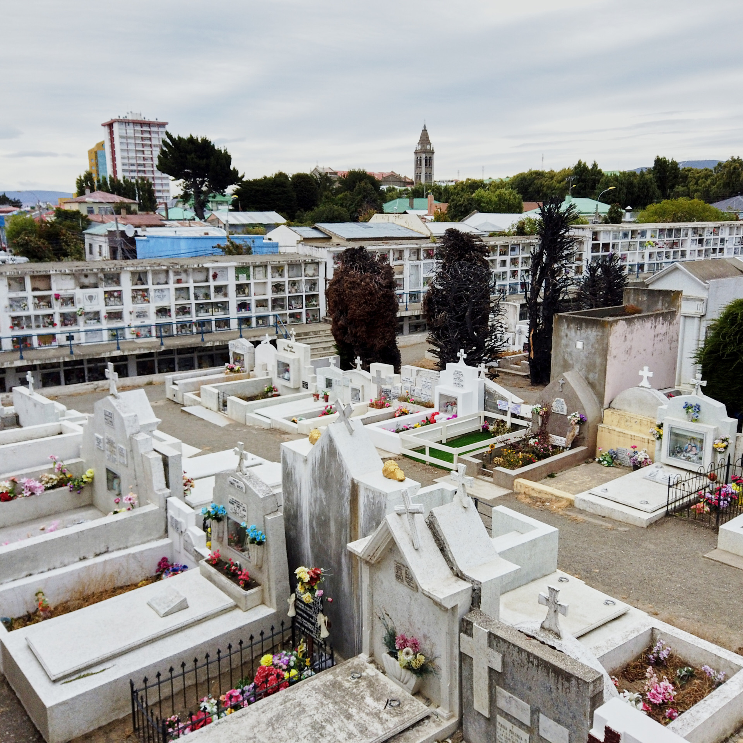 Патагония 2019. Айгуль Лотфуллина. #АйгульТВ. Фотограф в Адлере и Сочи, Красной Поляне